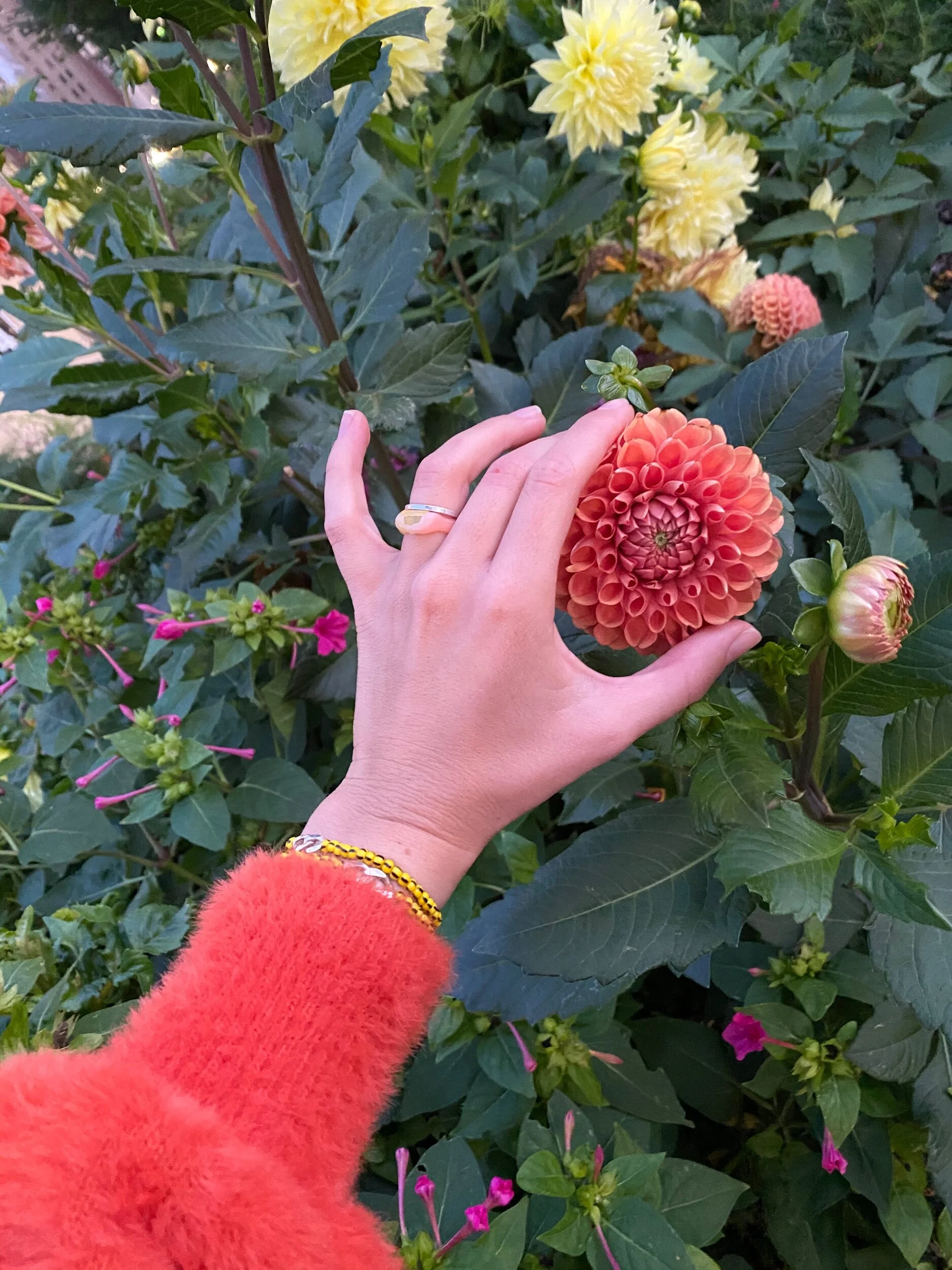 D0E7818C-4E34-4D57-BB9C-9220F59AFAC6