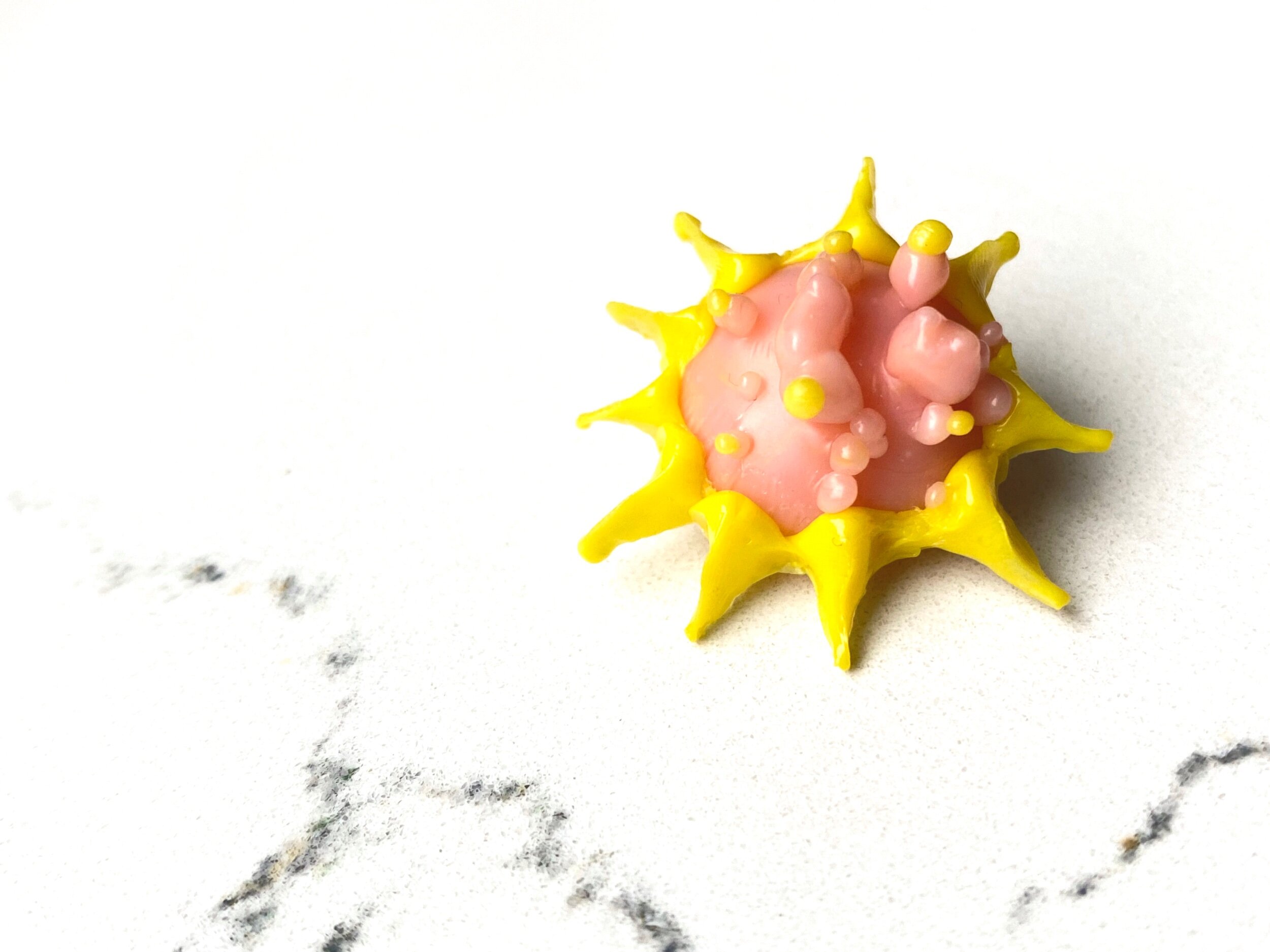 252241C0-C337-4483-B2D0-BD1BD72CC9A8