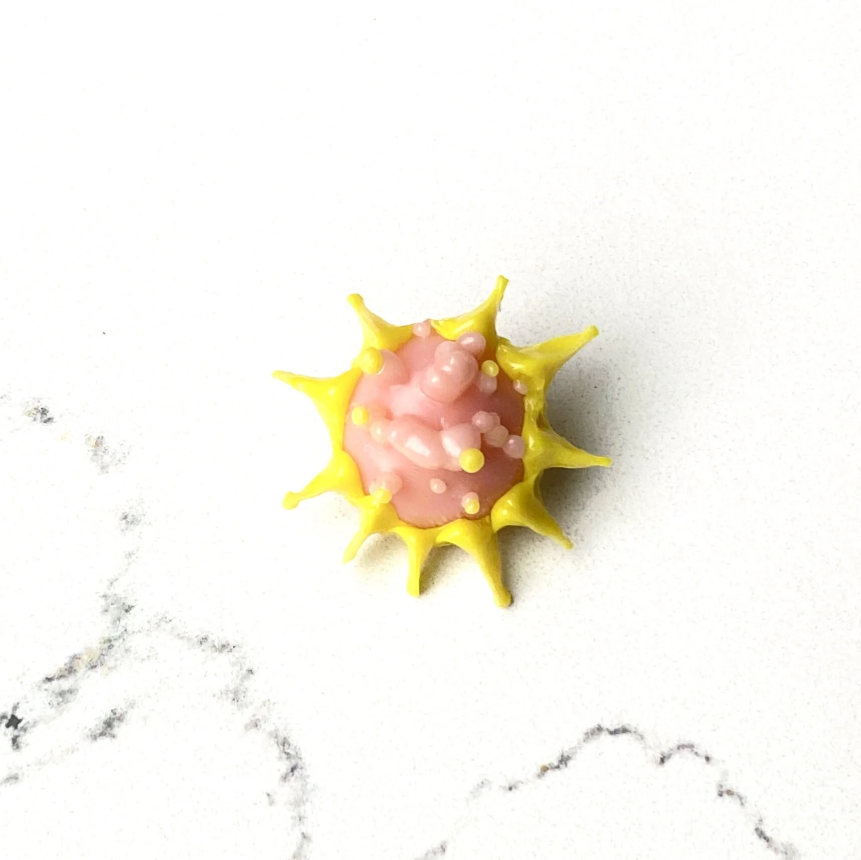 EE6EBCFD-DCEC-47EE-BA6C-B21956E90B40