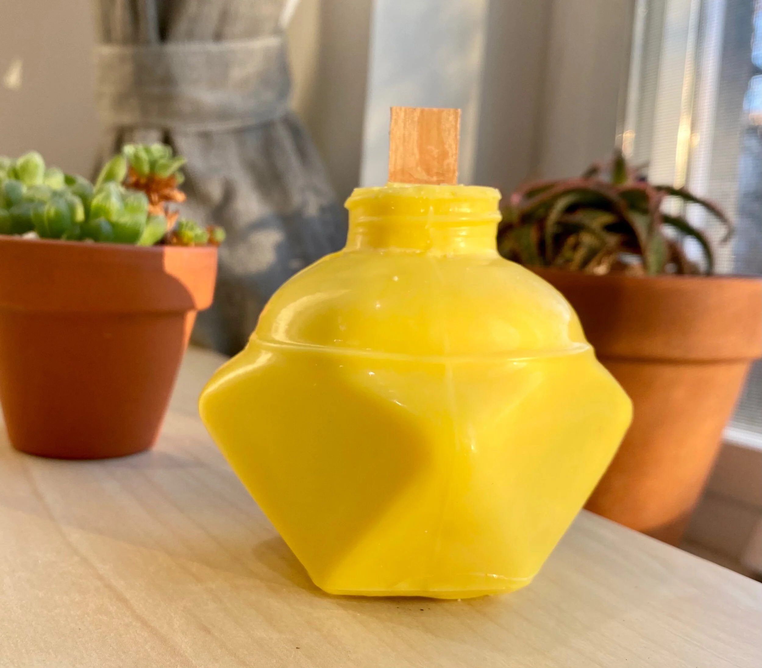 3EBF1225-81C1-409D-B60B-B29E99473D05