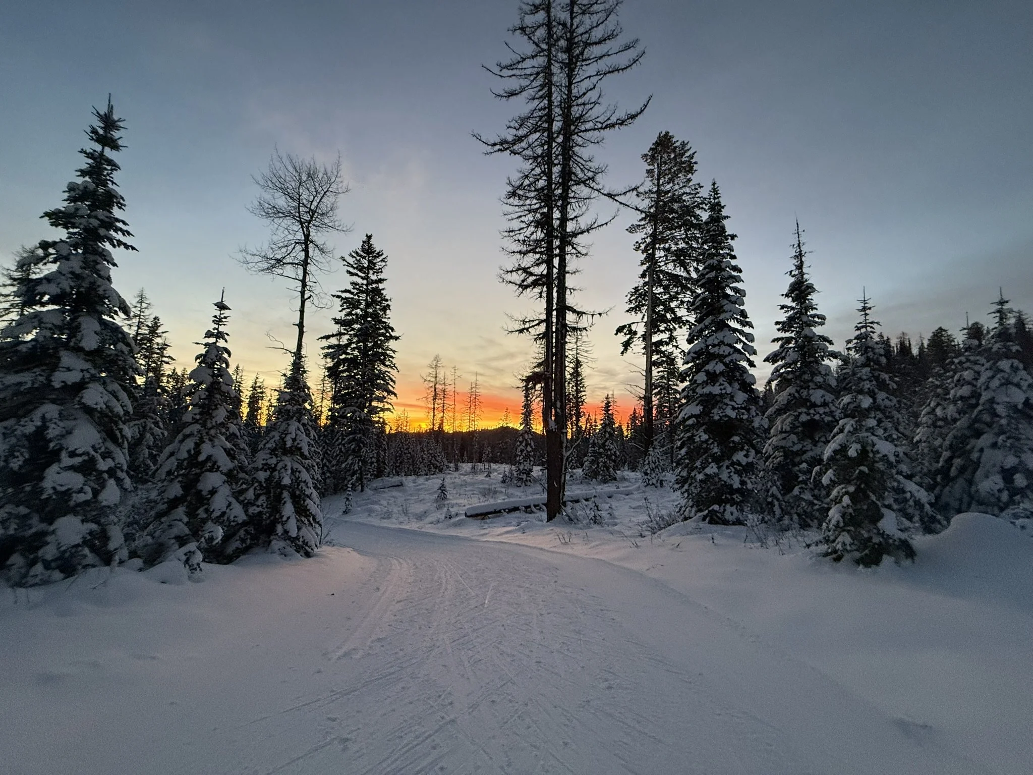 Thanksgiving in SilverStar!