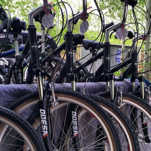 bike rental delivery