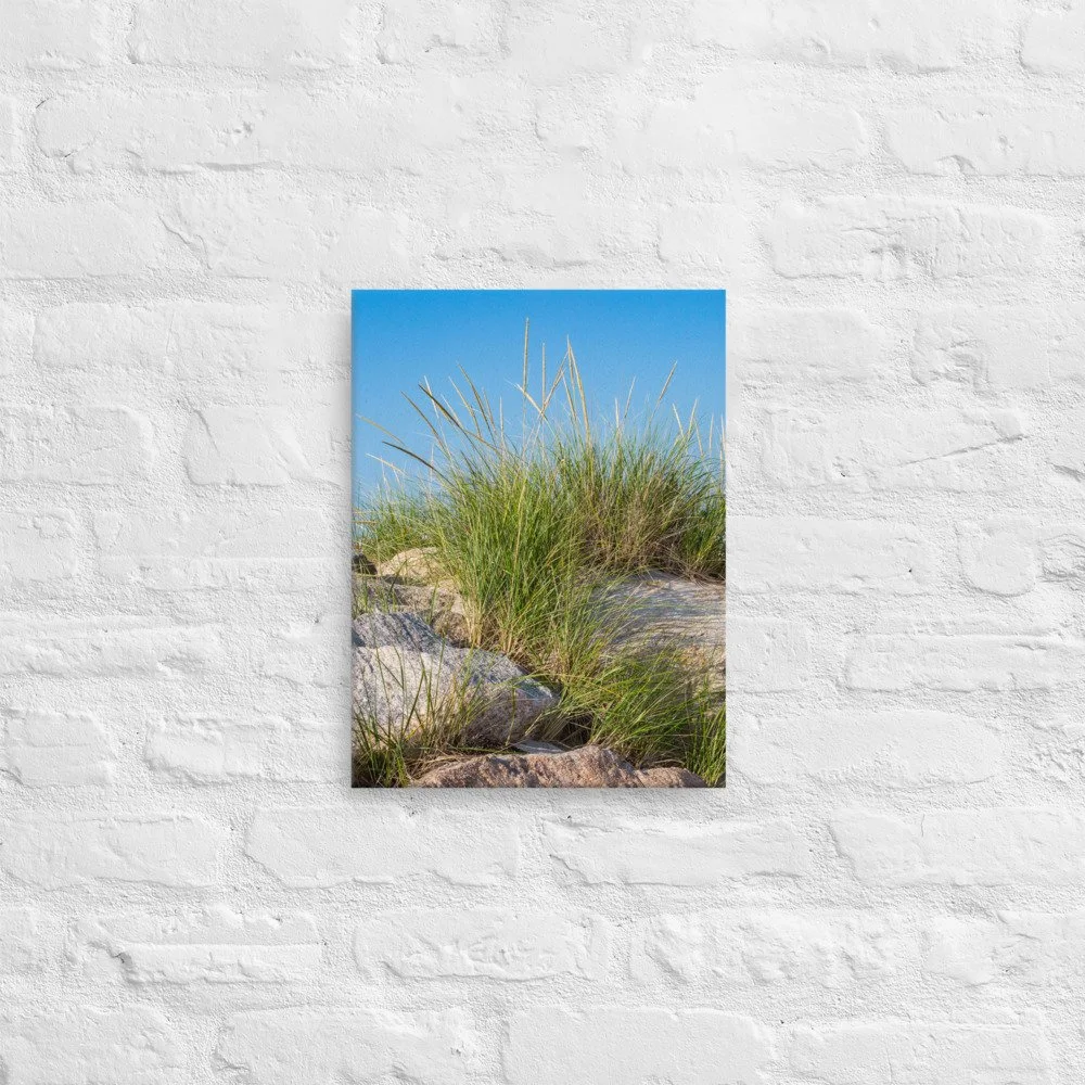 canvas-(in)-12x16-front-61ae5ce191a25.jpg
