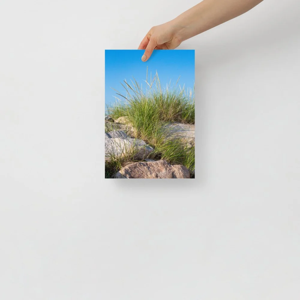 enhanced-matte-paper-poster-(cm)-21x30-cm-front-61ae5e3ce61f1.jpg