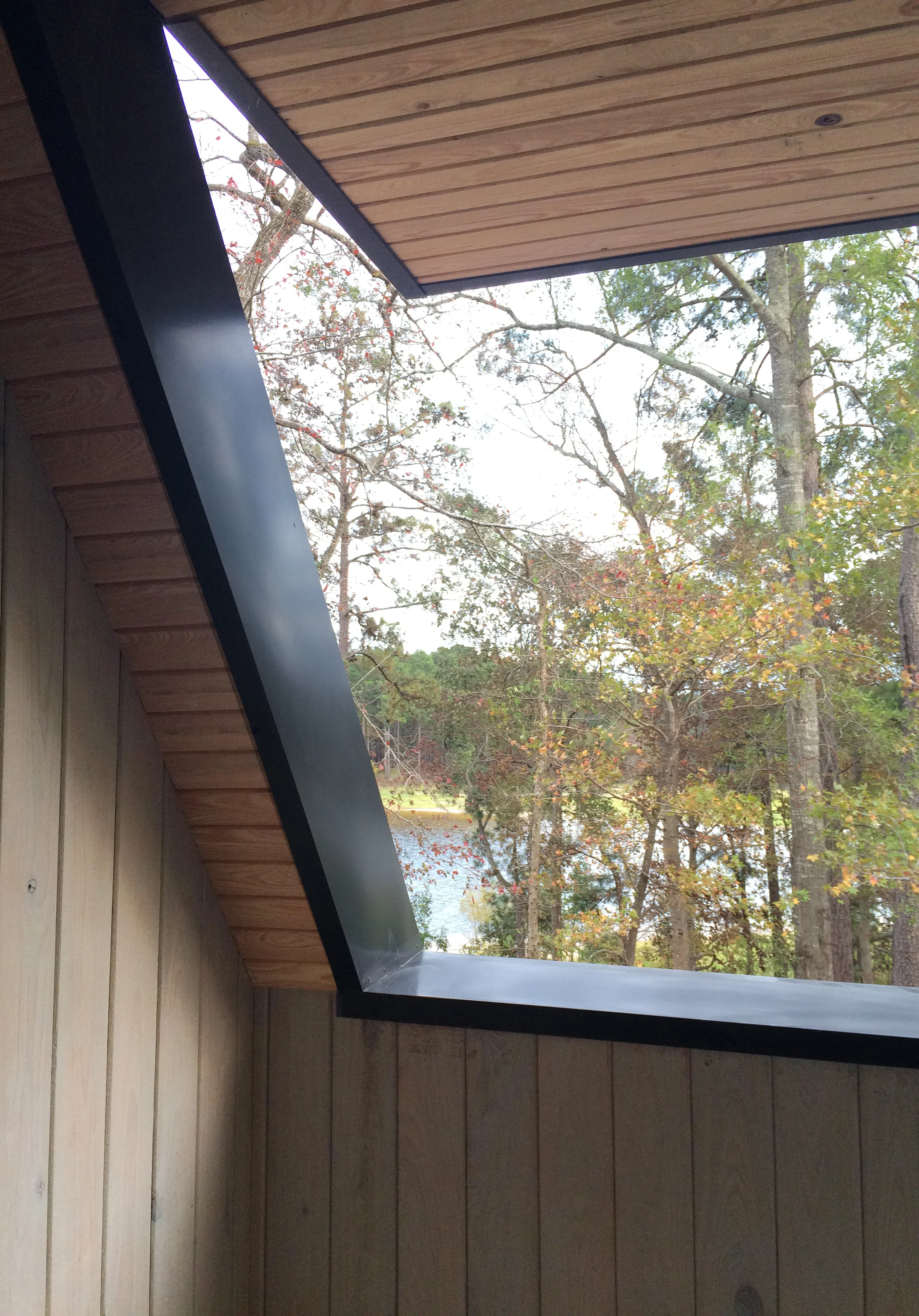 View of the woods and lake from the master bedroom balcony.