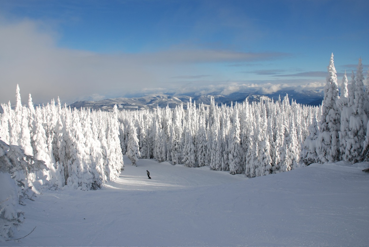 DSC_0011_JPG-42.jpg