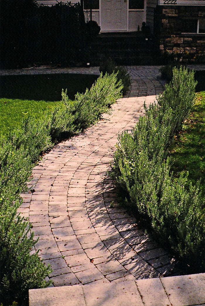 700-PAVING-23.jpg