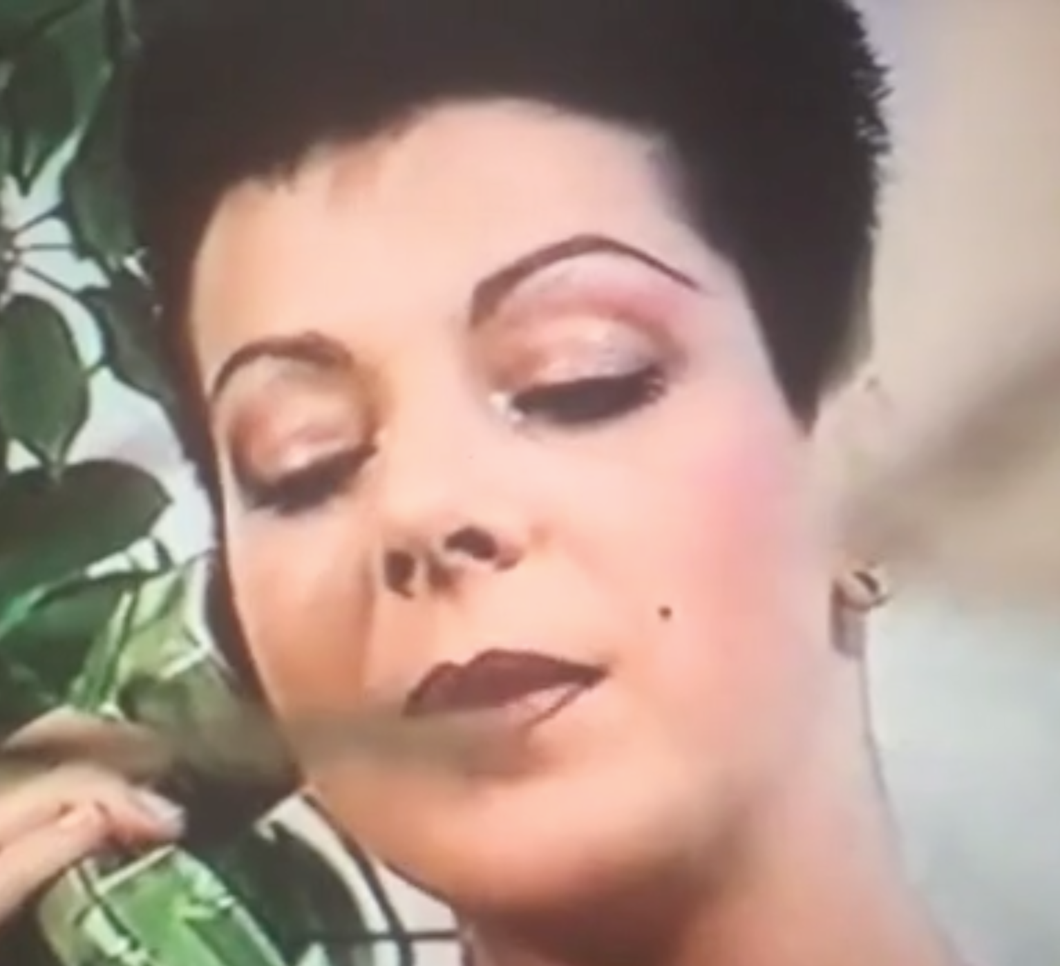 Screen Shot 2017-12-03 at 1.55.56 PM.png