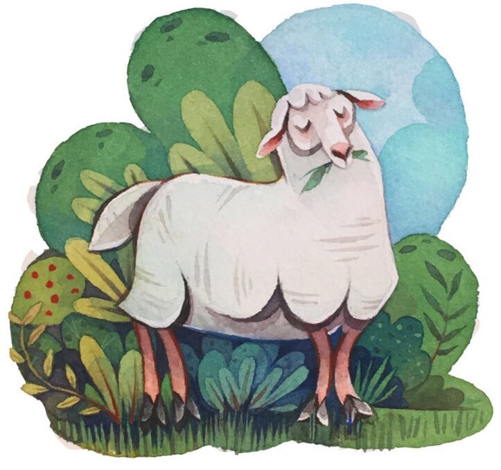 Personal Work (Grazing Sheep)  