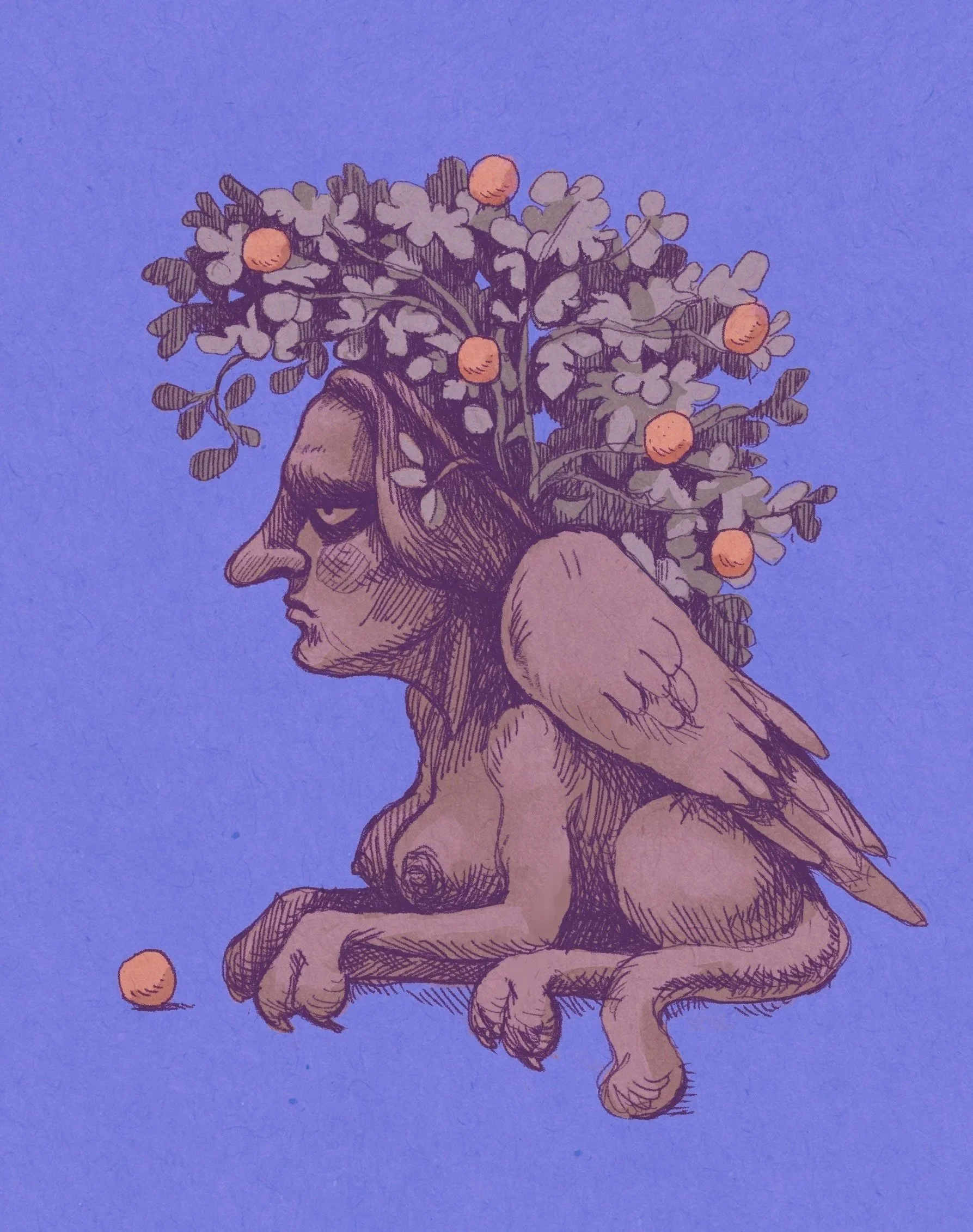 image-asset.jpg