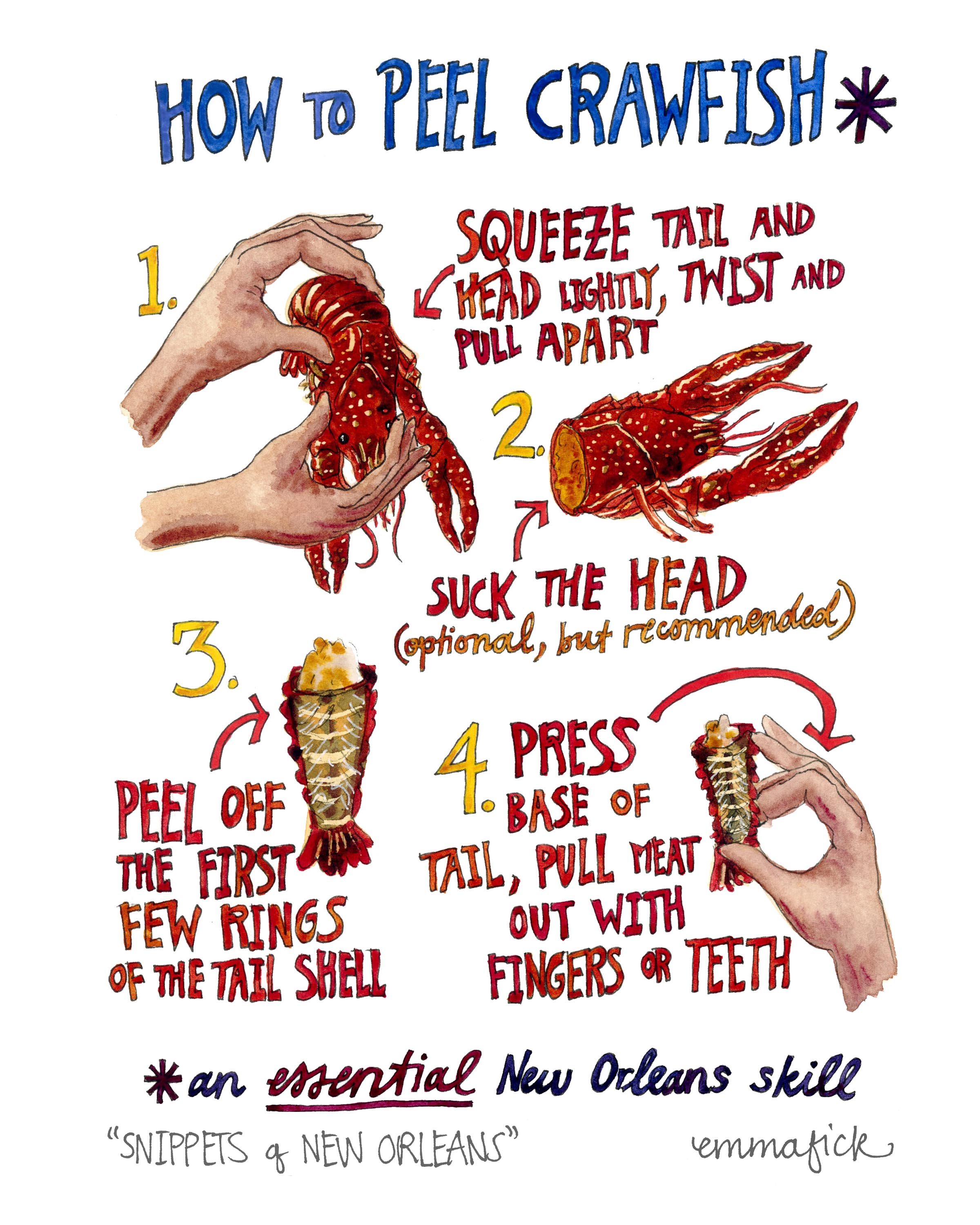How to Peel Crawfish — Emma Fick Art