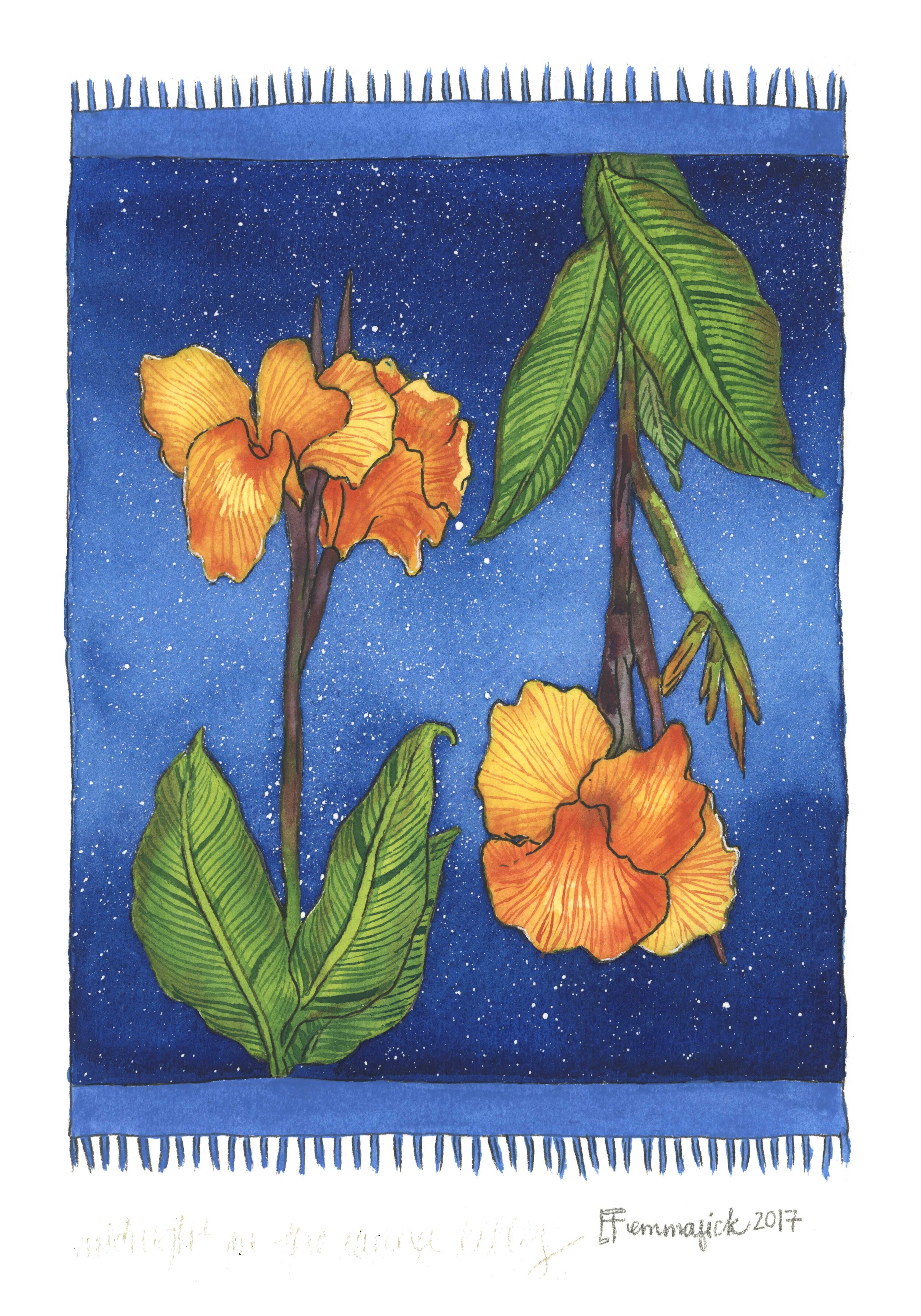 midnight canna lily tap.jpg