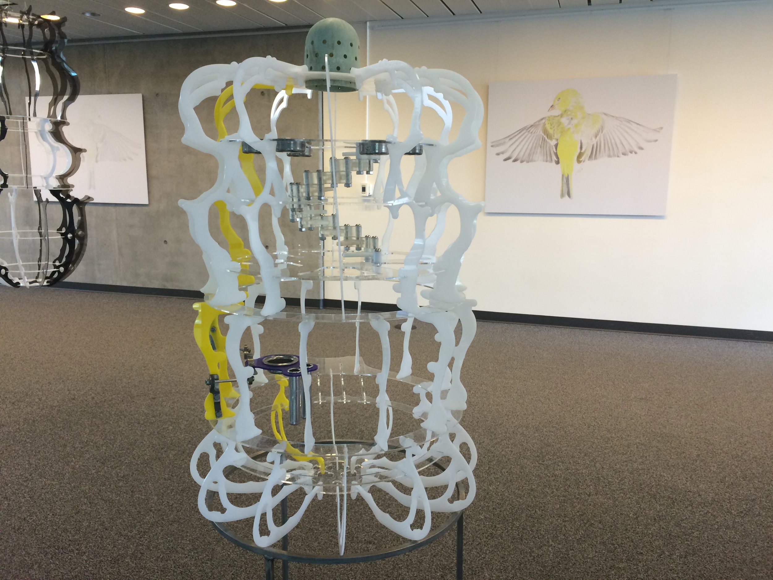 A collaboration between Matthew and Monica Furmanski. Installed at CSU, Channel Islands Curated by Irina D. Costache 2015