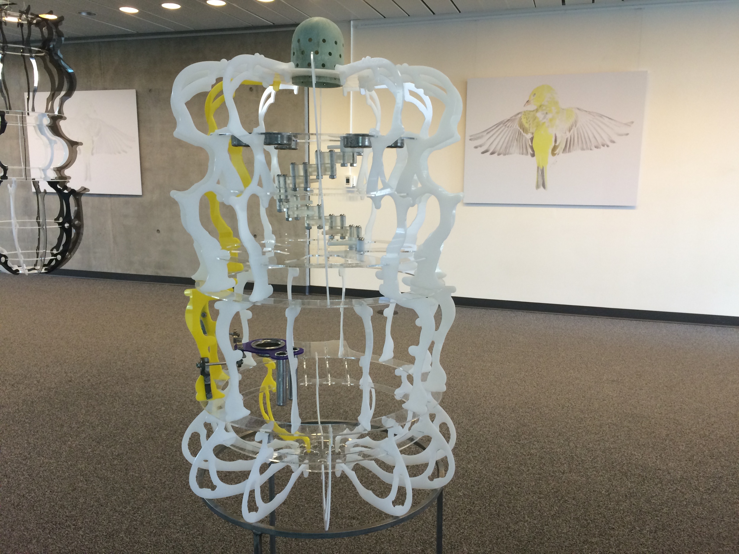  A collaboration between Matthew and Monica Furmanski.  Installed at CSU, Channel Islands  Curated by Irina D. Costache  2015 