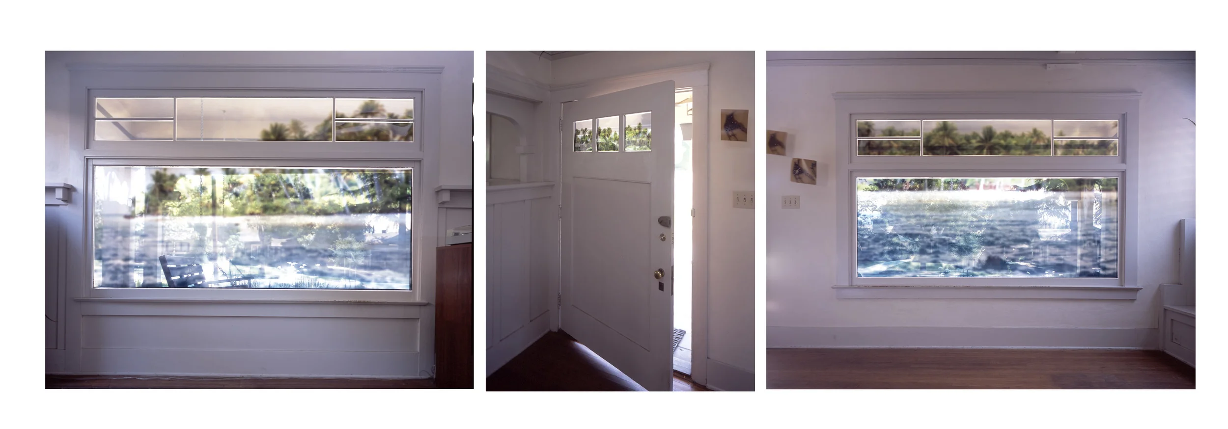 Tropical Settings (Displaced Landscape), Bliss, Pasadena, CA 2002