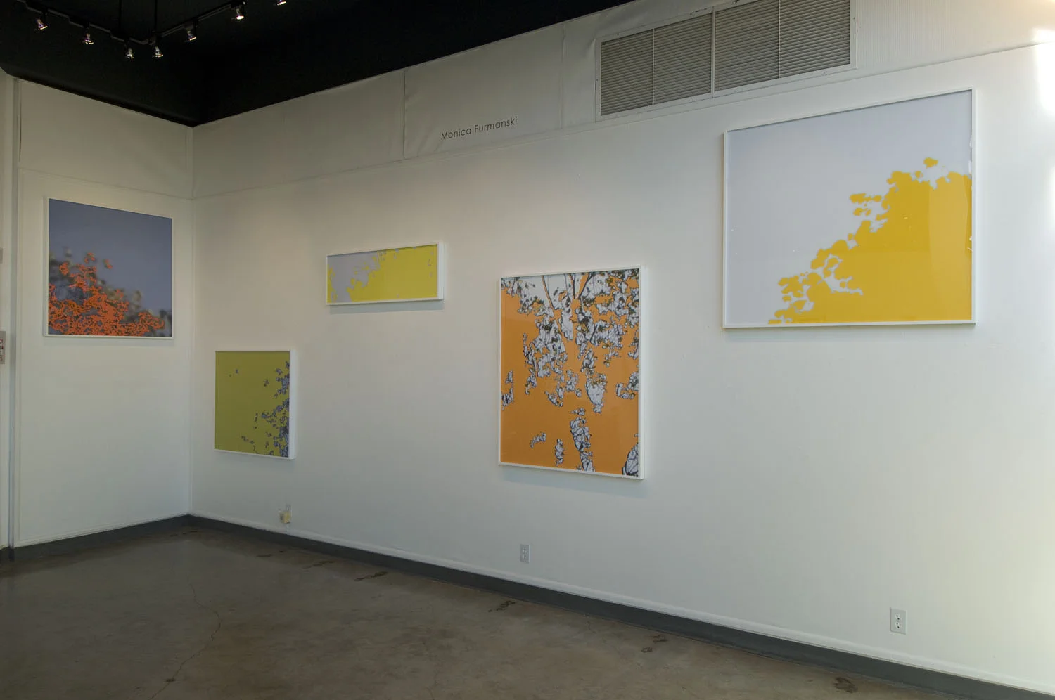 Forest for the Trees (adjacent wall installation), SBCC, Santa Barbara, CA. 2007