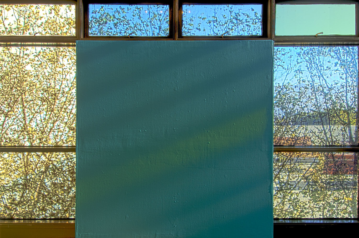 Forest for the Trees (window detail), 2007