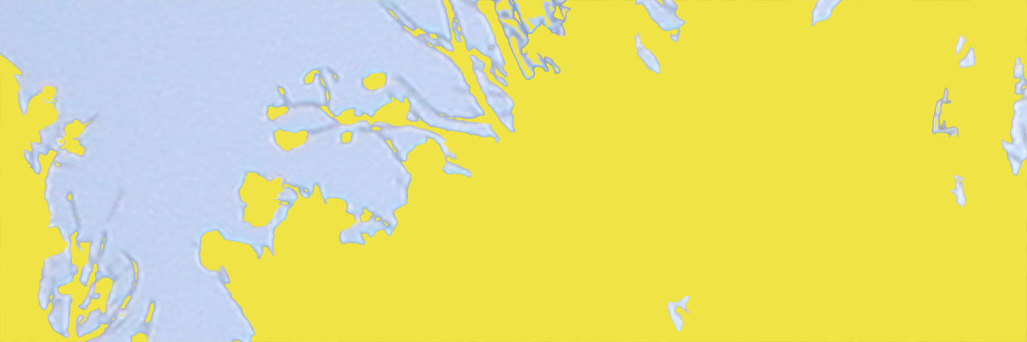 Forest for the Trees (yellow horizontal), 2007