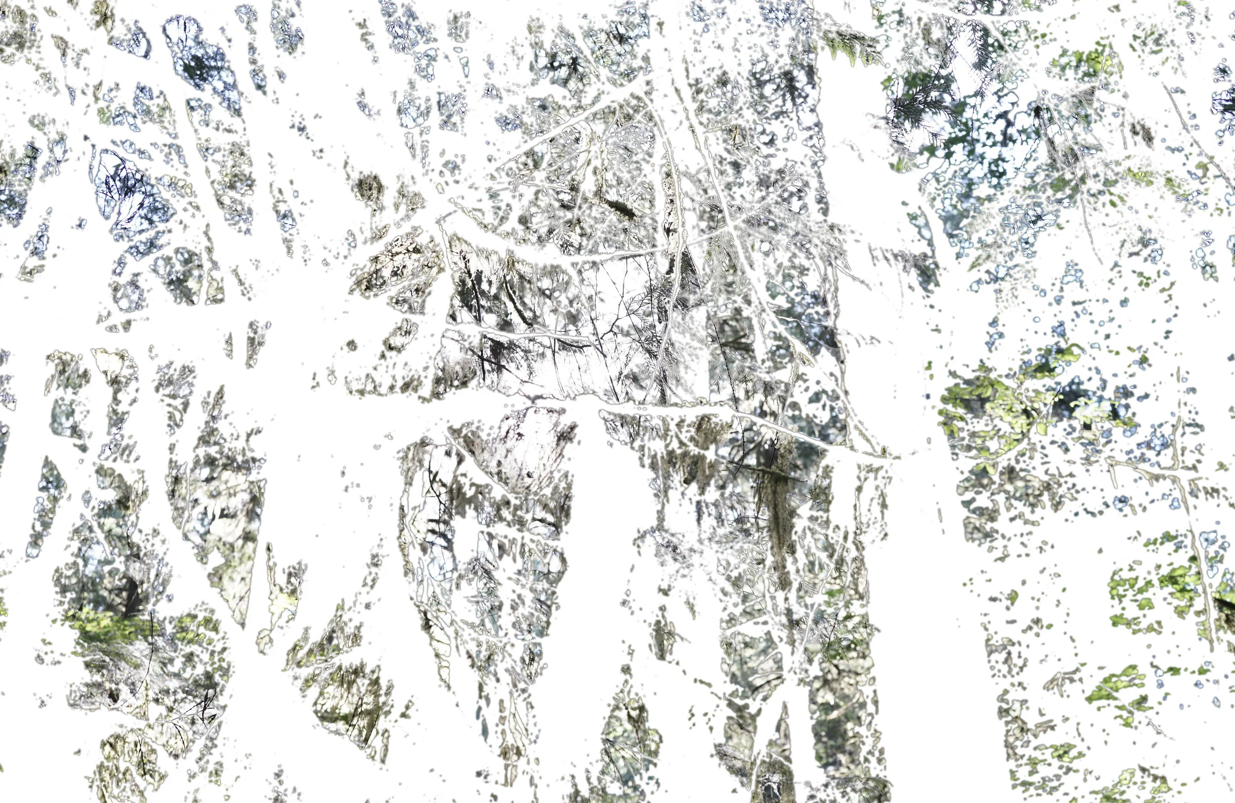 Untitled (Columbia River) 2019