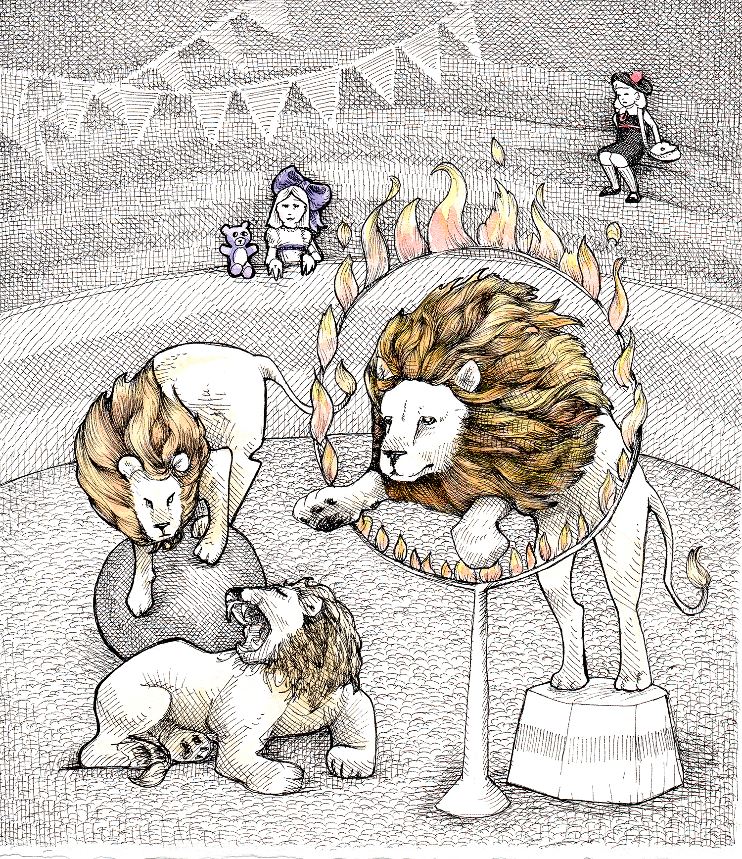 LionLight.jpg