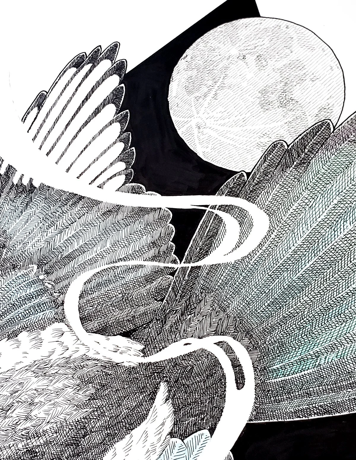 DLee_MagpieDetail1.jpg