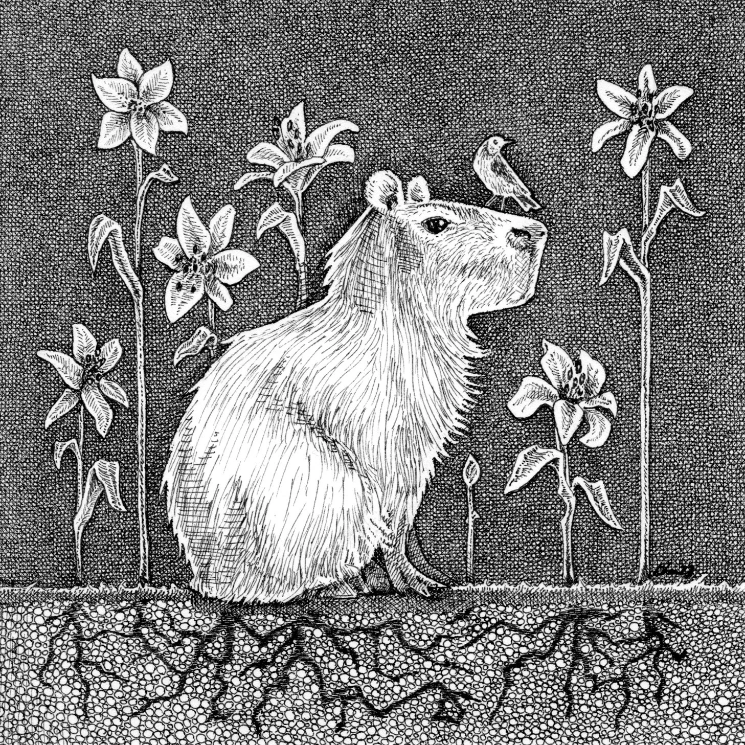 "Capybara"
ink on paper