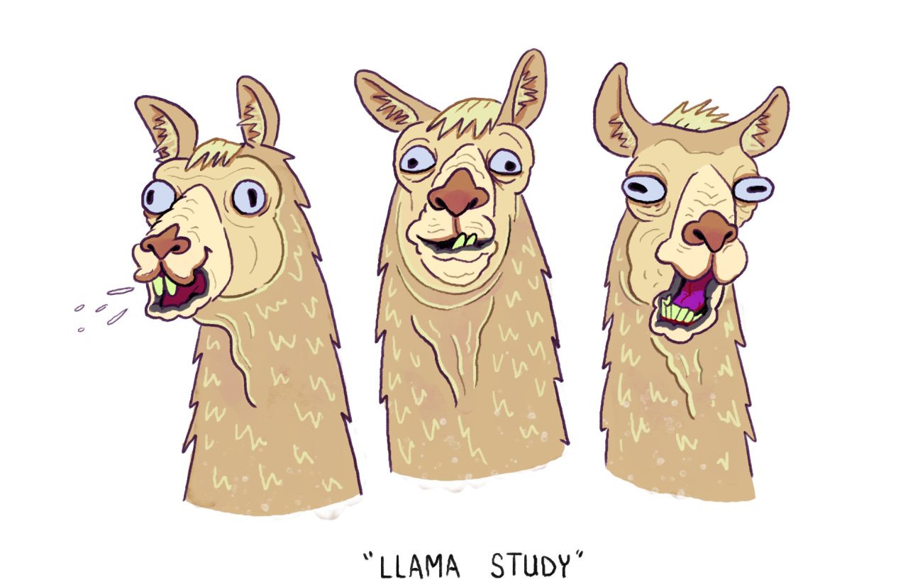 Llama Study.png