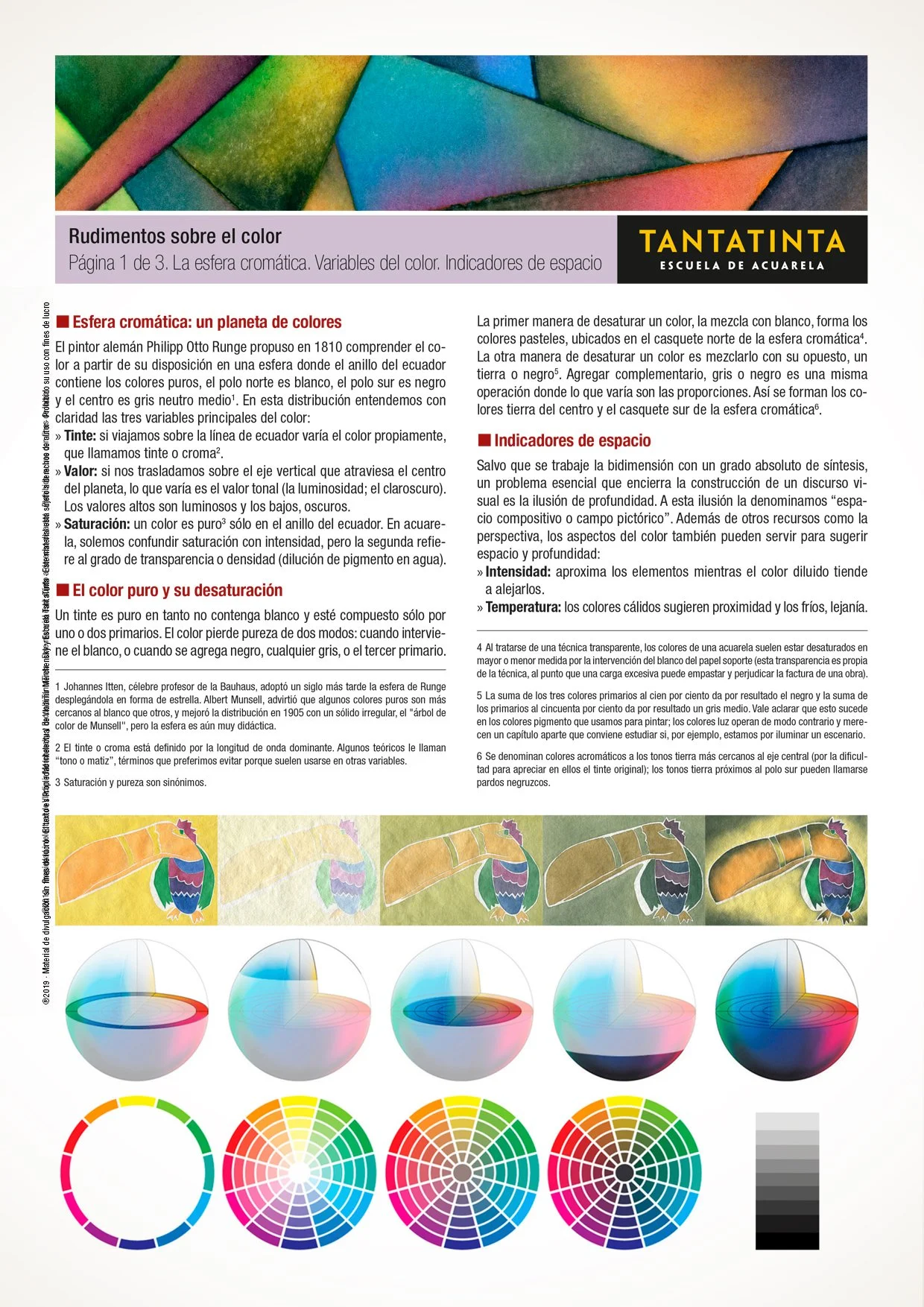 Rudimentos sobre el color