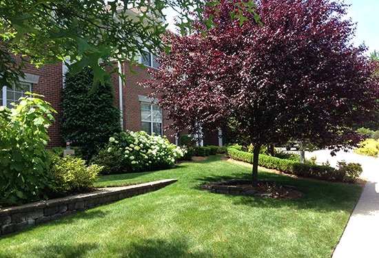 Ridgewood-b.jpg