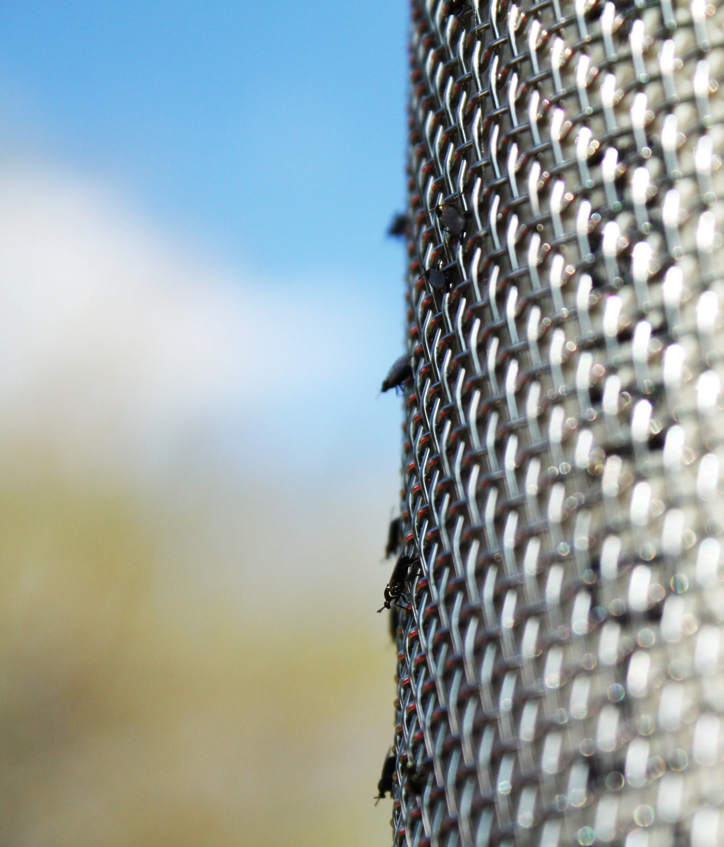 Rittenhous and 52nd street 182.JPG