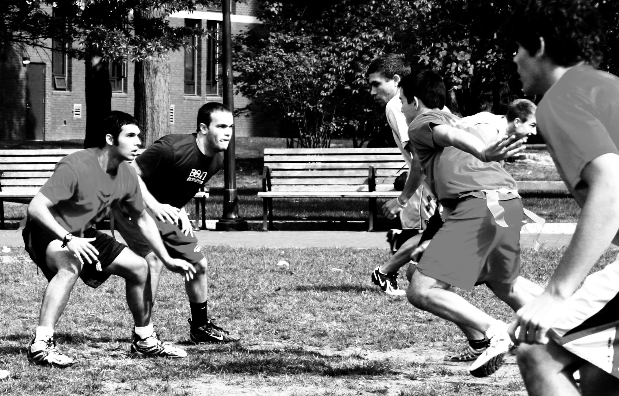 Phiesta bowl 293.JPG