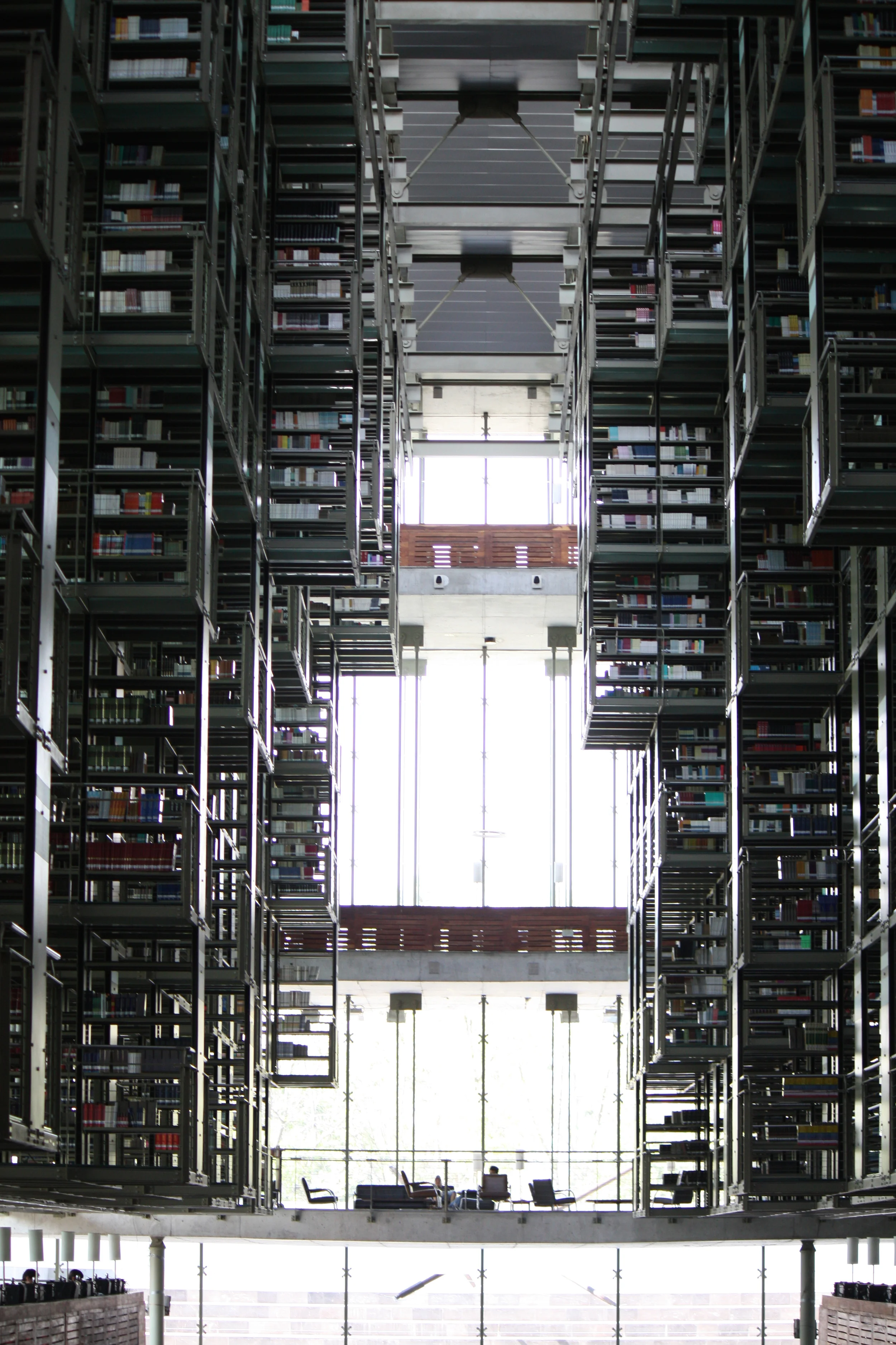 IMG_1363-1 (dragged).jpg