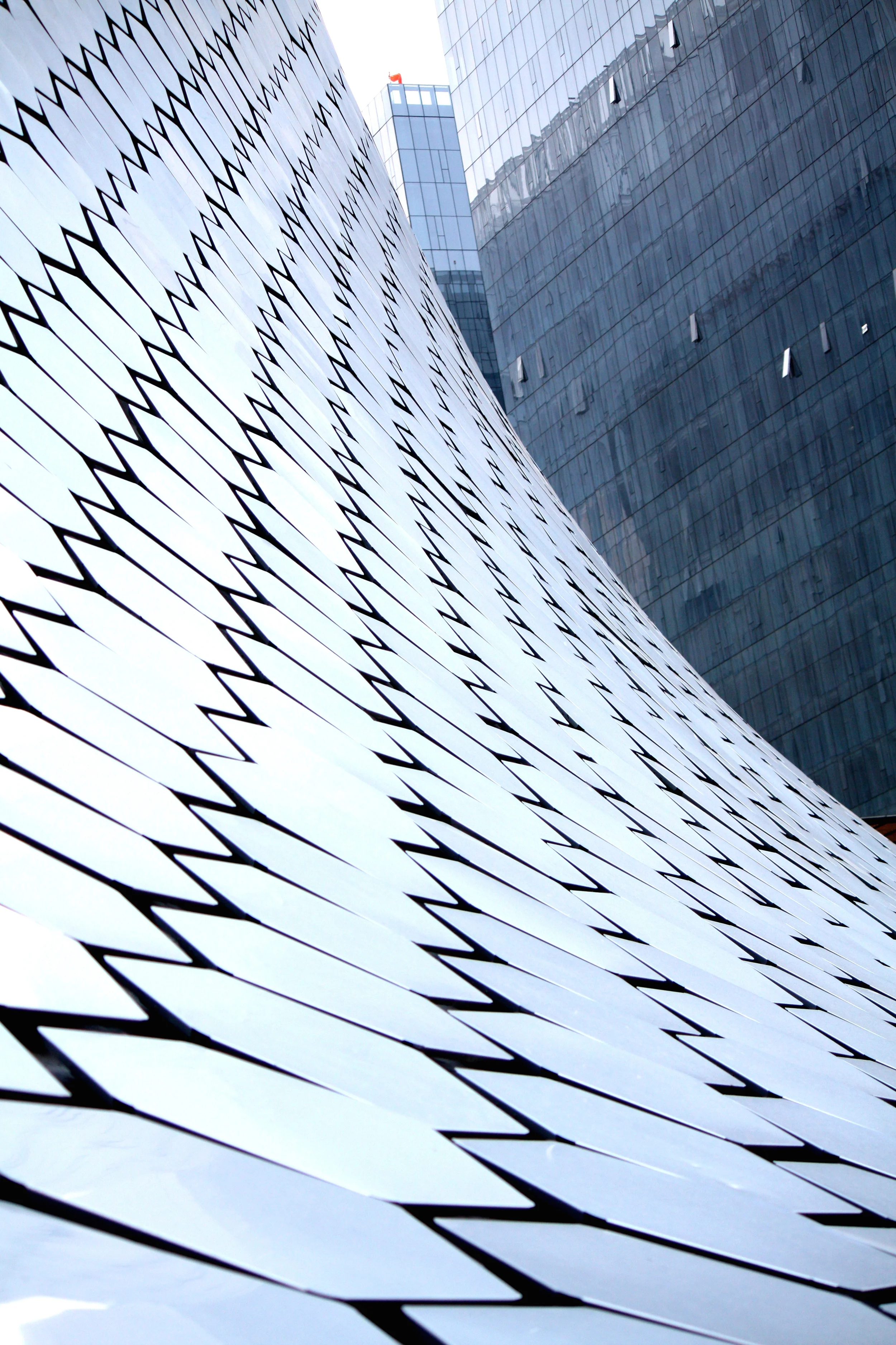 IMG_1150-1 (dragged).jpg