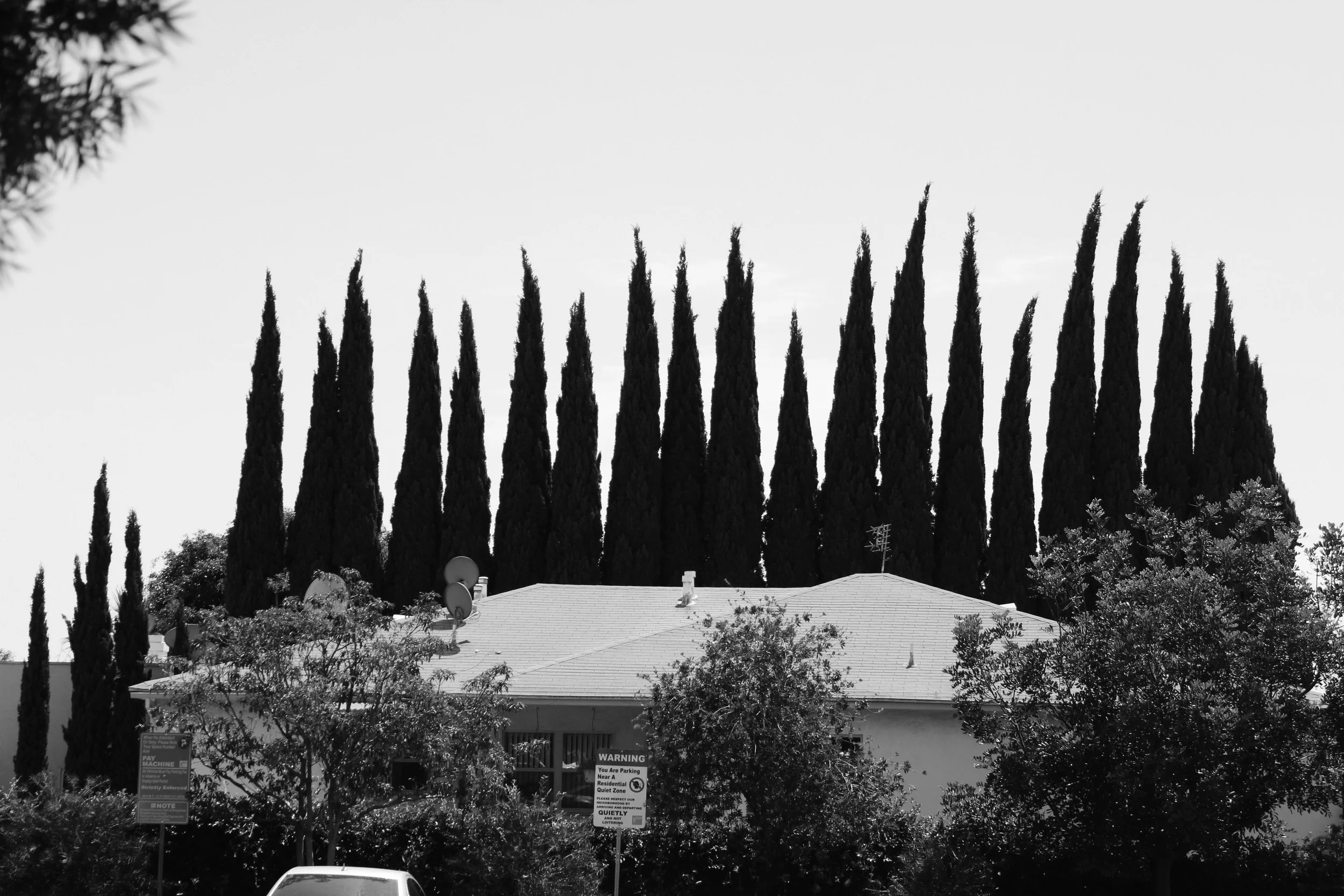 _MG_0500.JPG