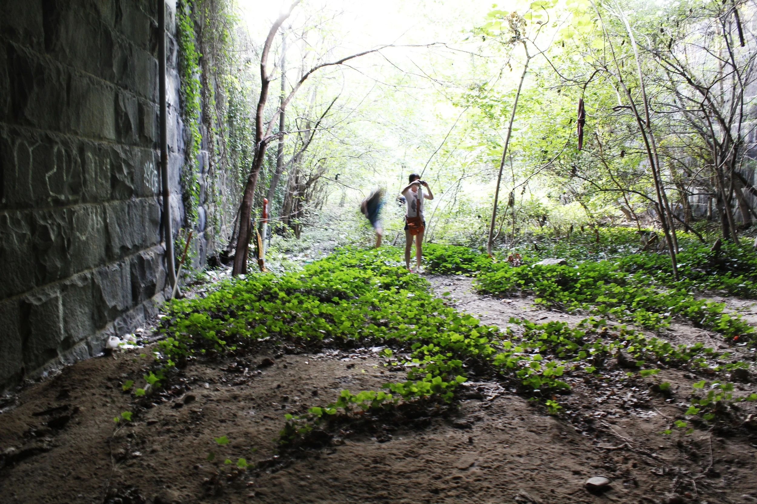 _MG_0779.JPG
