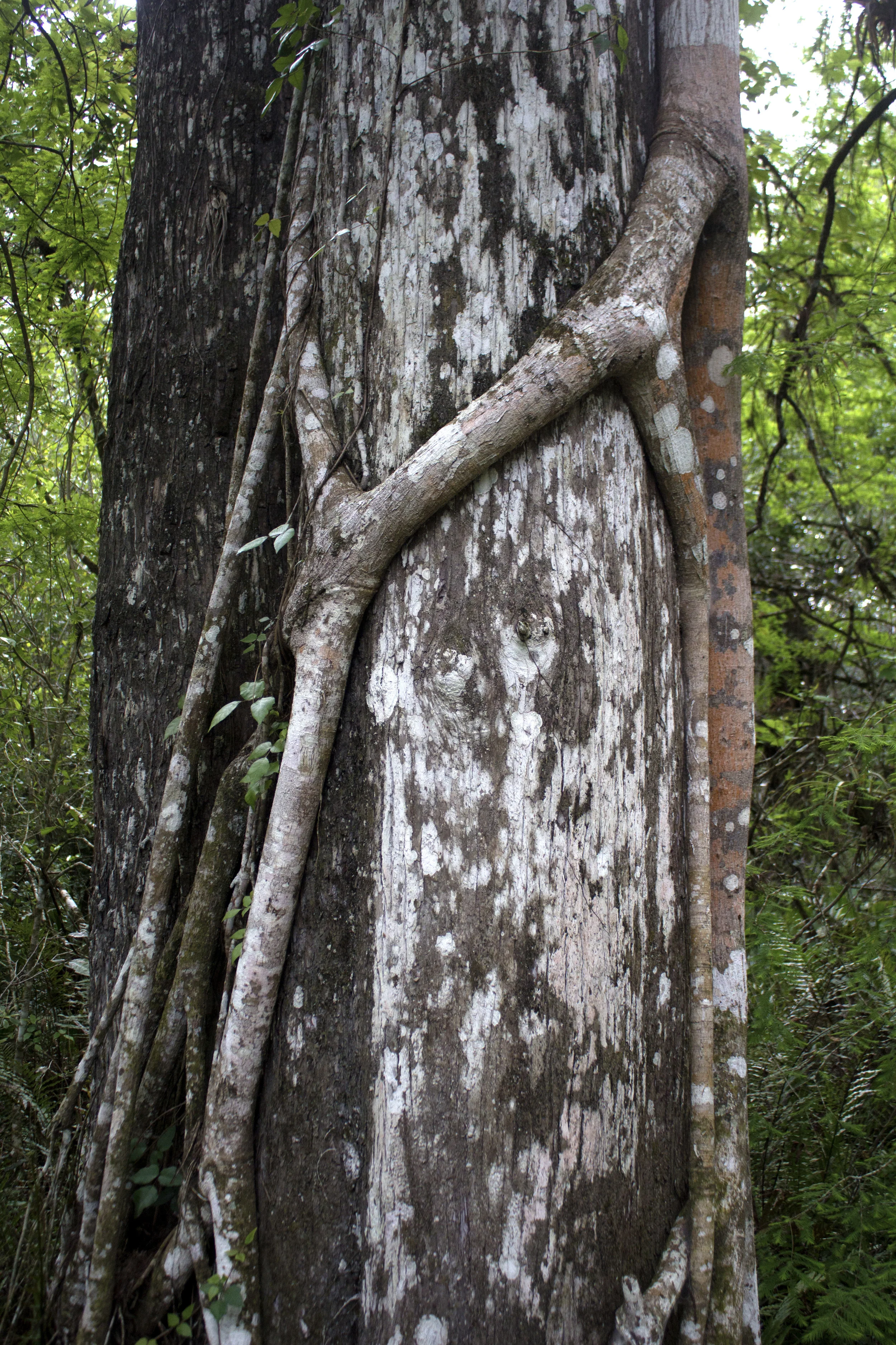 _MG_9614.jpg