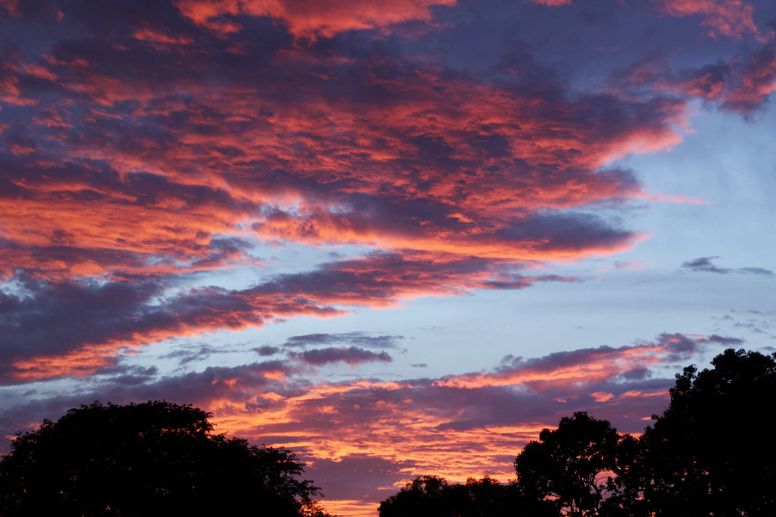 amazing sunset.jpg