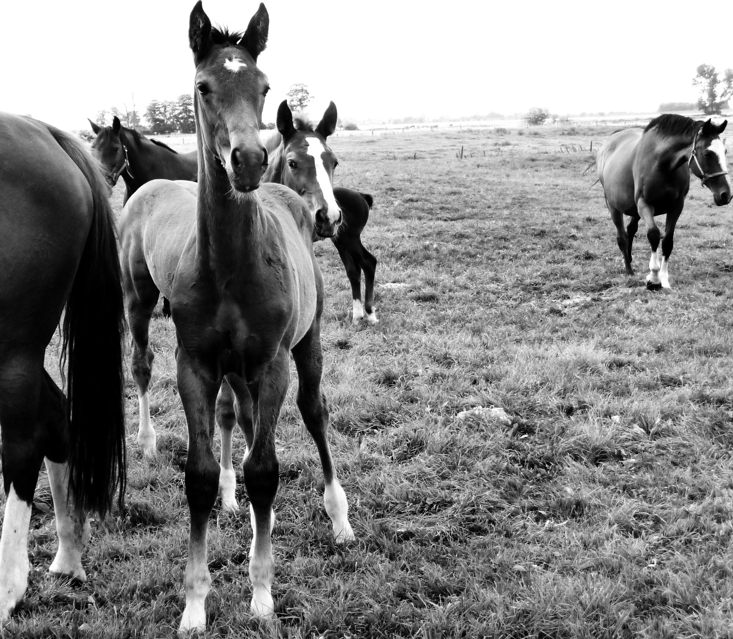 Summer 2009 Germany 085.JPG