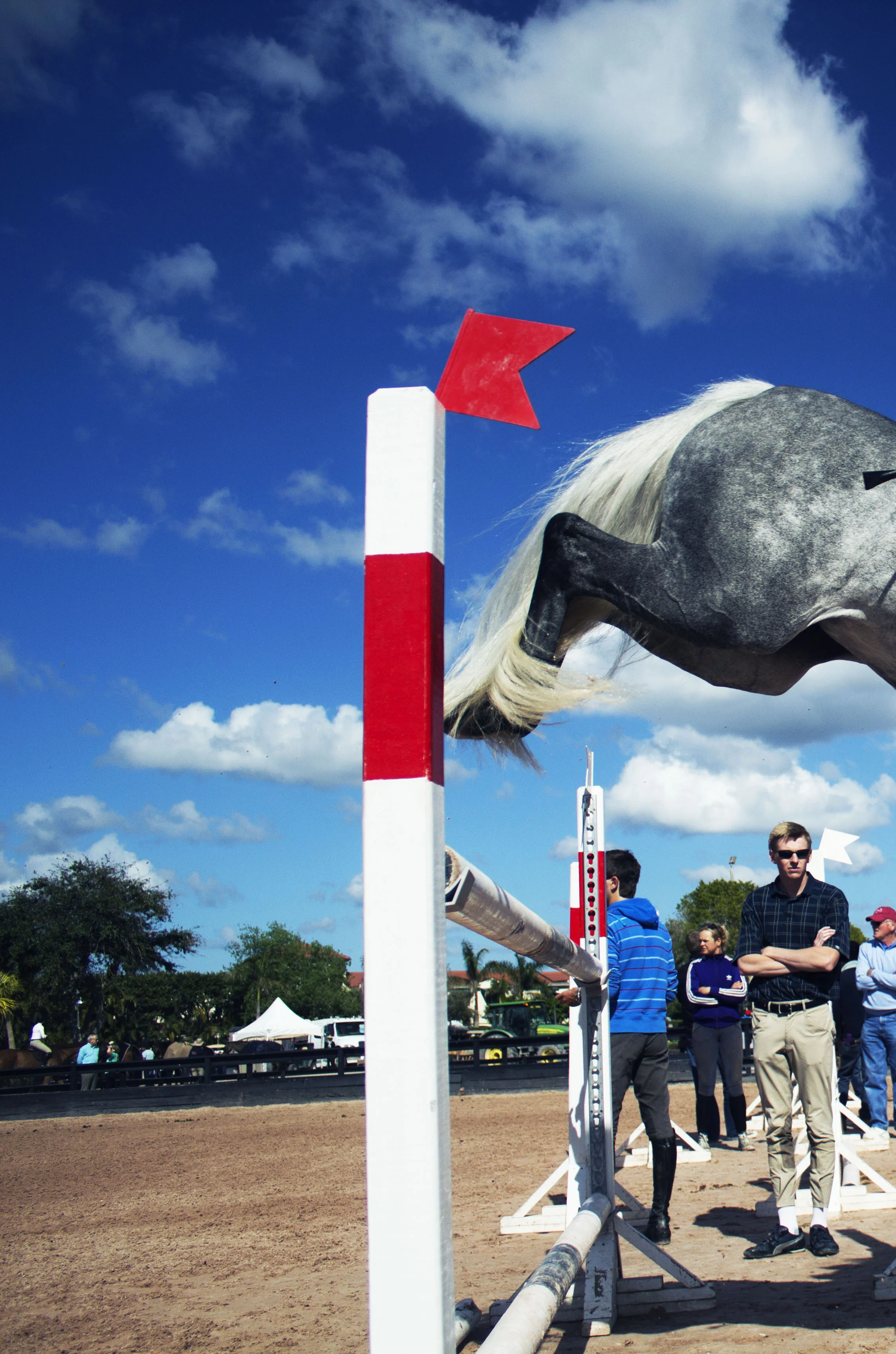 BR Joyous week 4 schooling.jpg