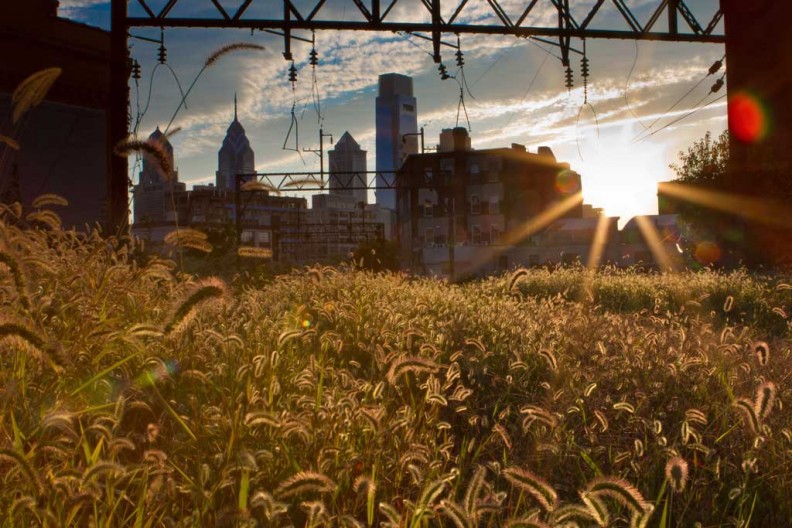 Viaduct_ae_10.10.12_StevenReitz_-3-web-792x528.jpg