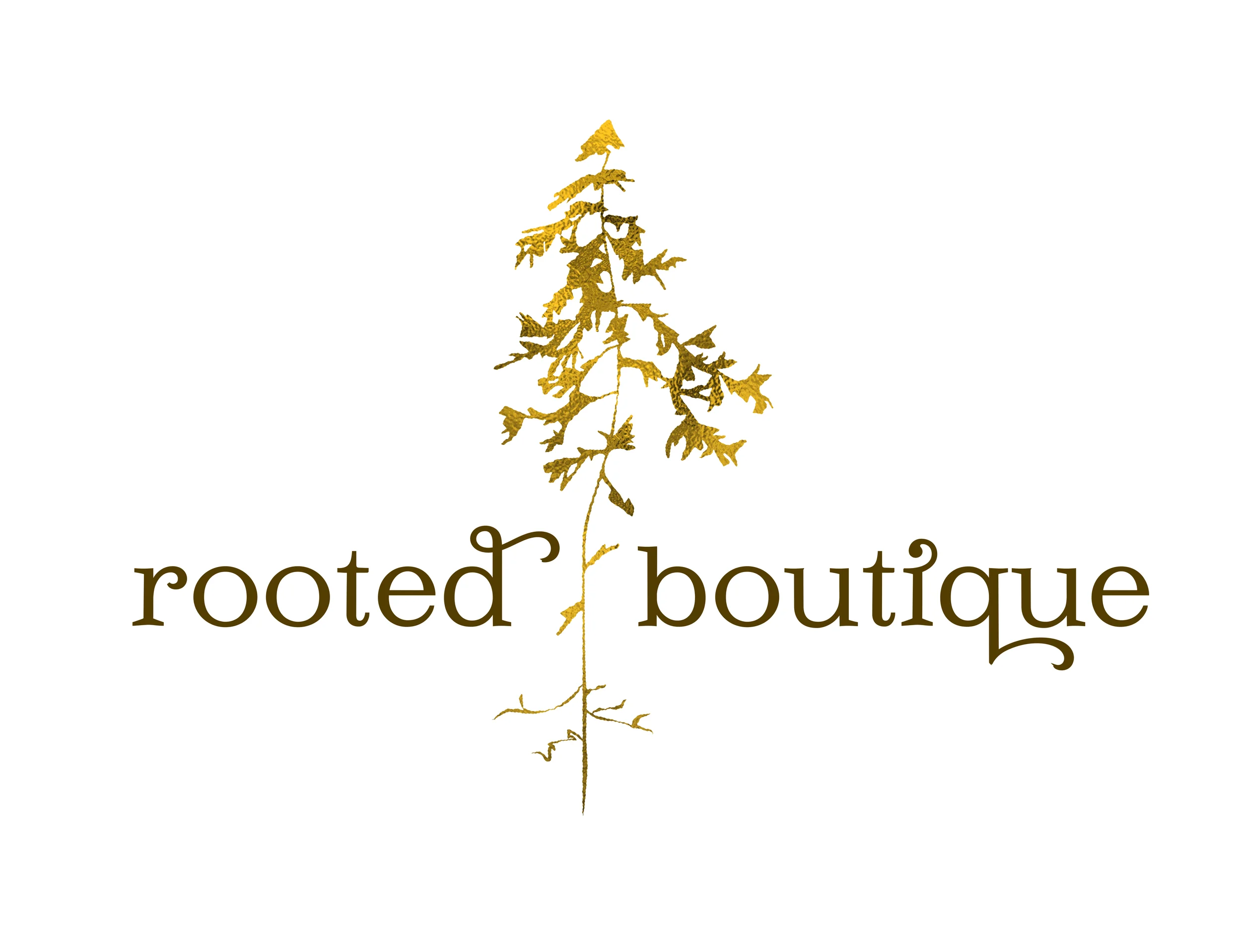 Logo_Horizontal_Color_RGC copy.jpg