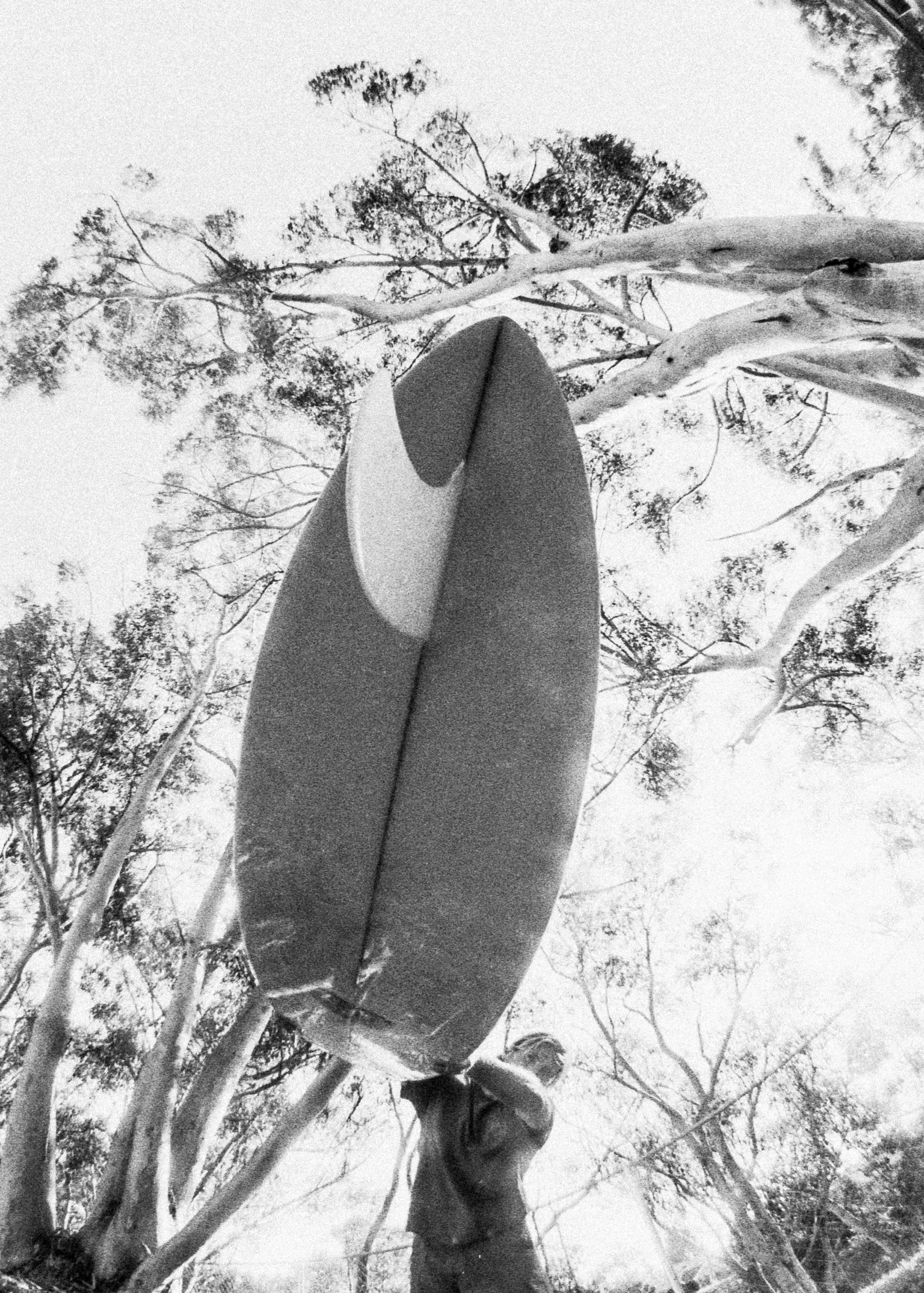 tannergudauskas.oside.WEB RES.2026-129.jpg