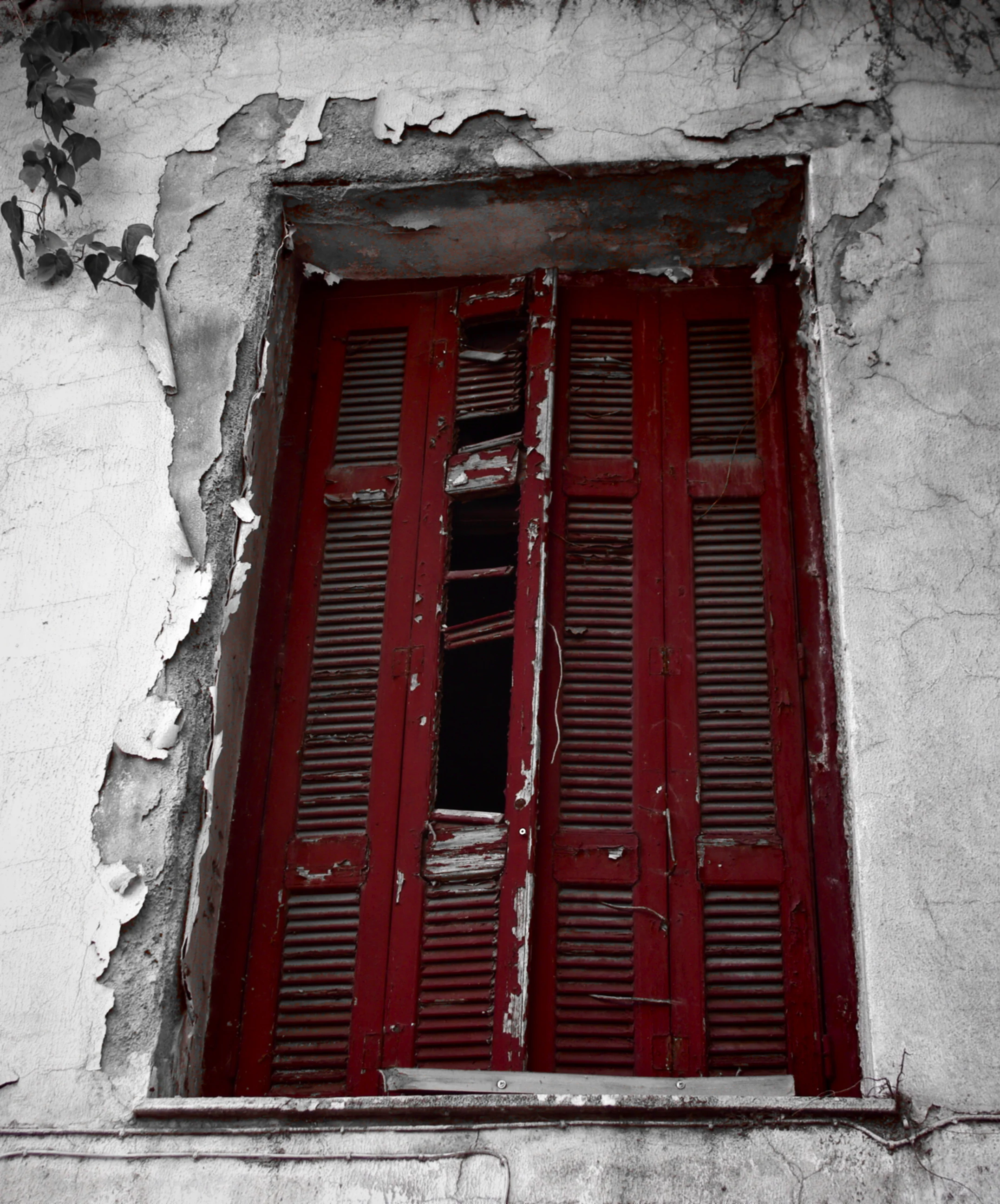 _IGP4680 - Version 3.JPG