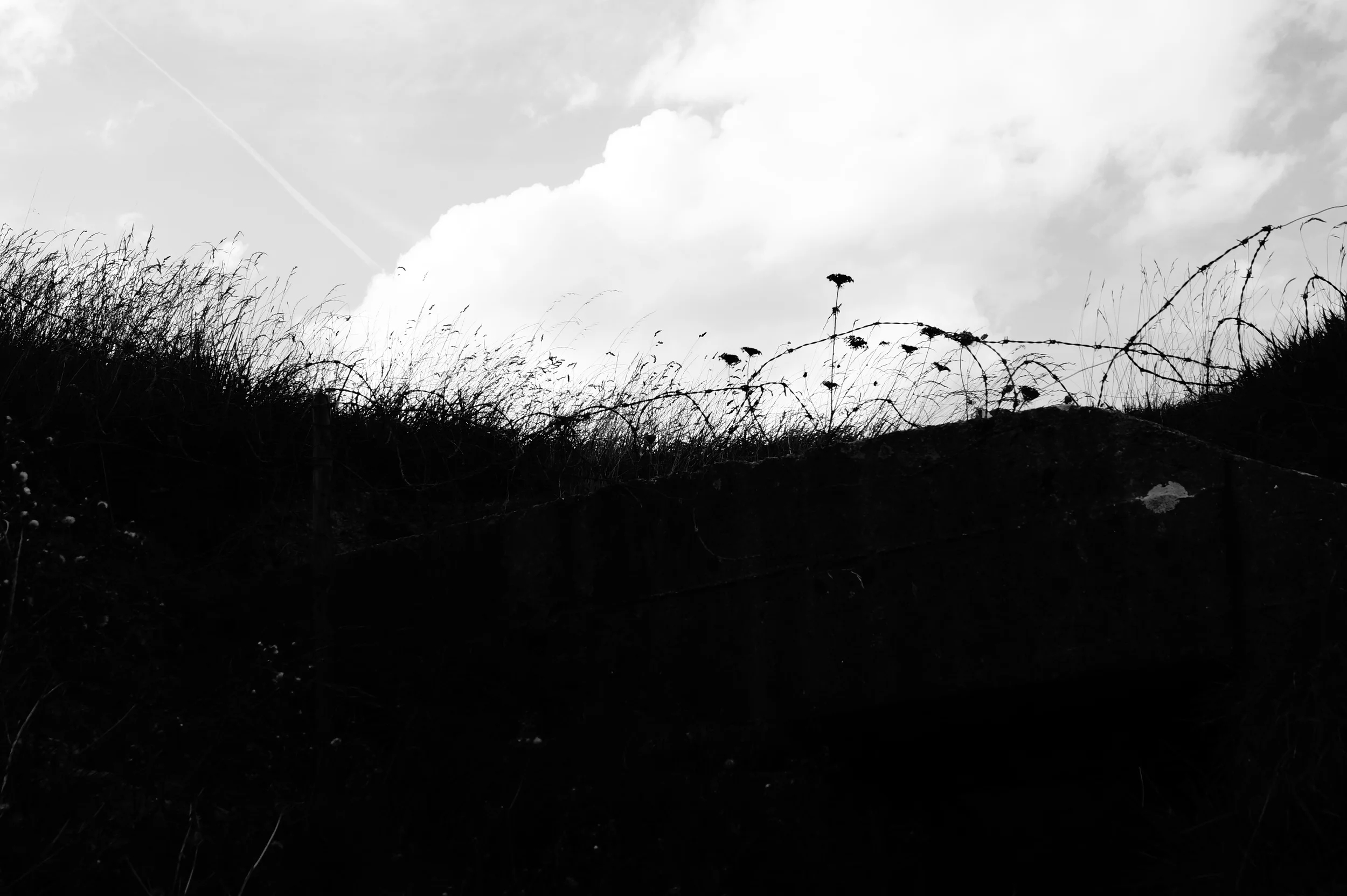 DSC02146.JPG