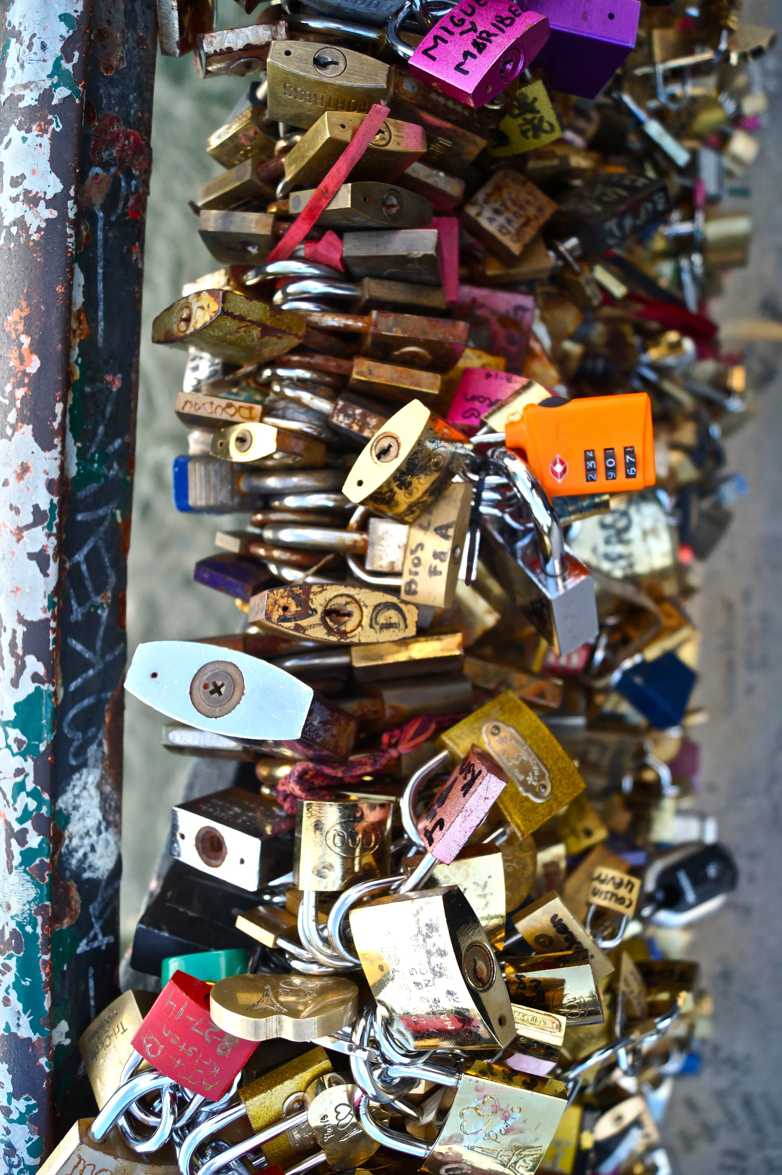 DSC03869 - Version 2.jpg