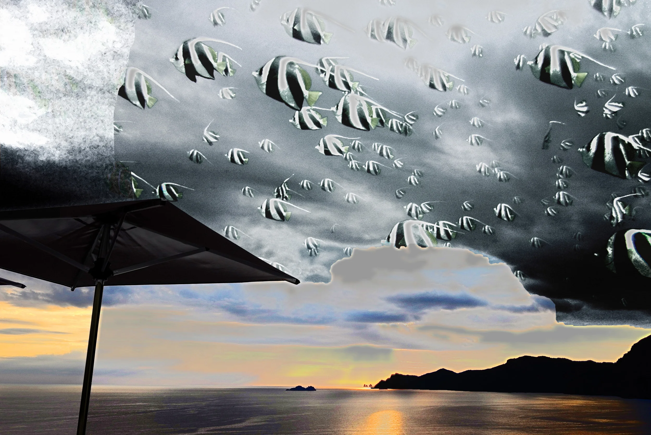 Sky Angels 2016 2a.jpg