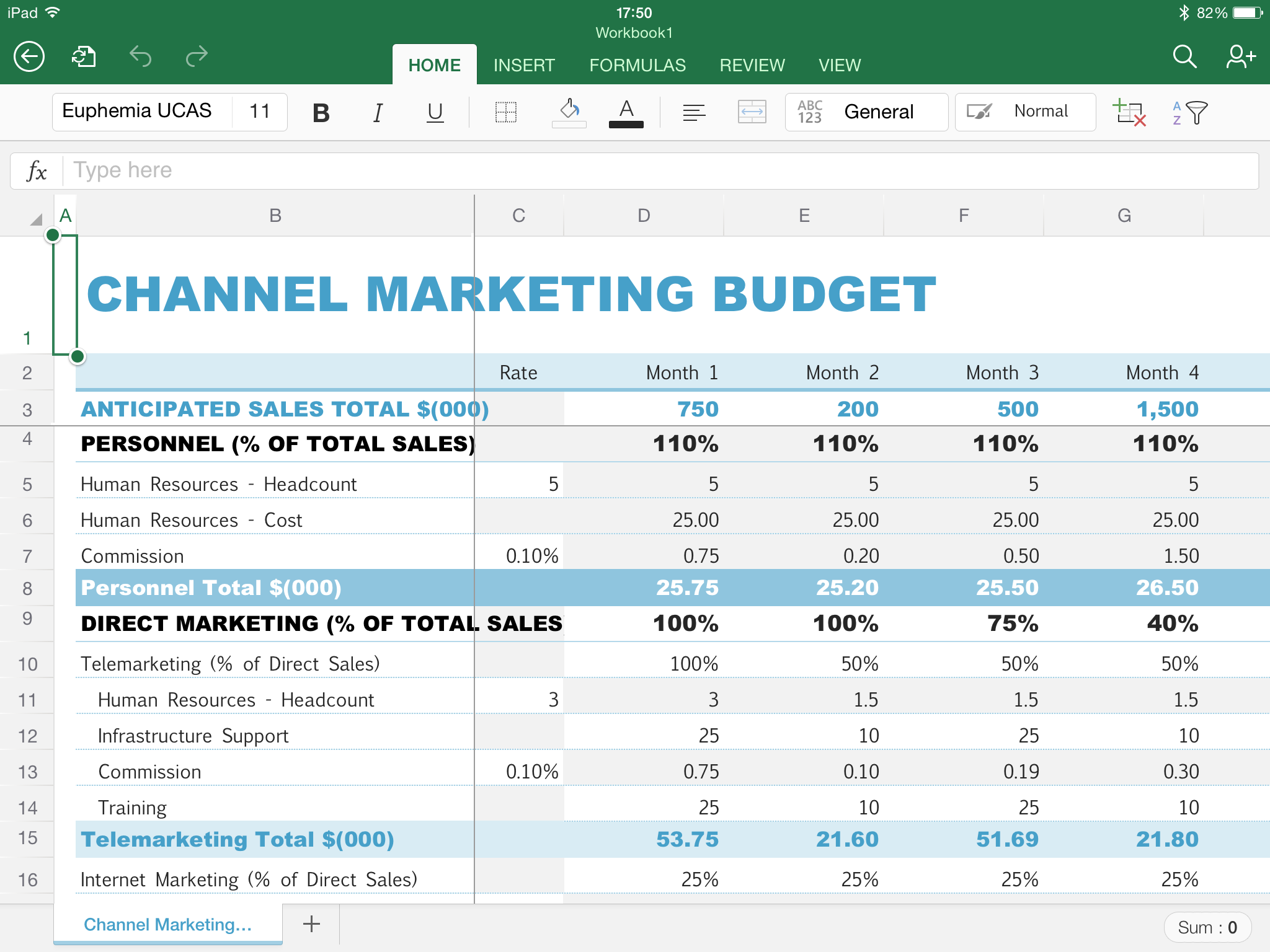 iPad Excel Worksheet