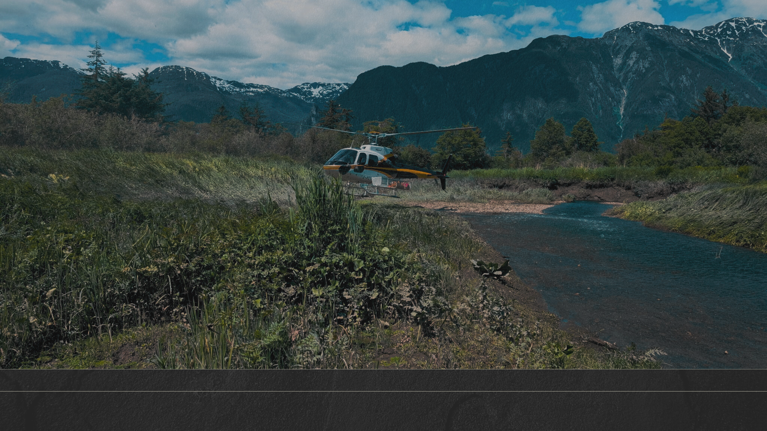 Untitled design (1).png