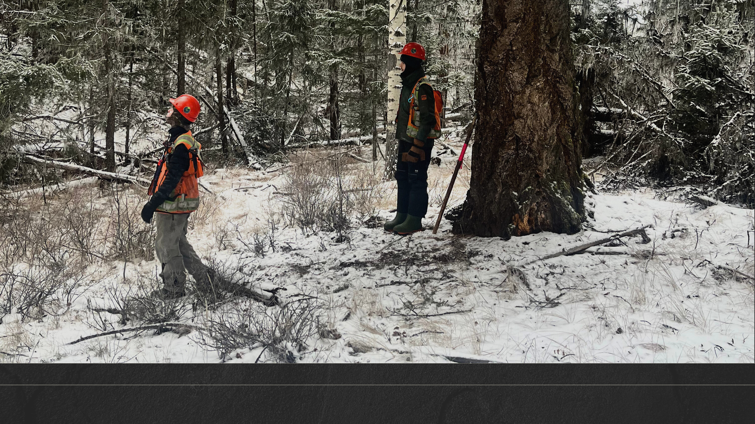 Untitled design (10).png