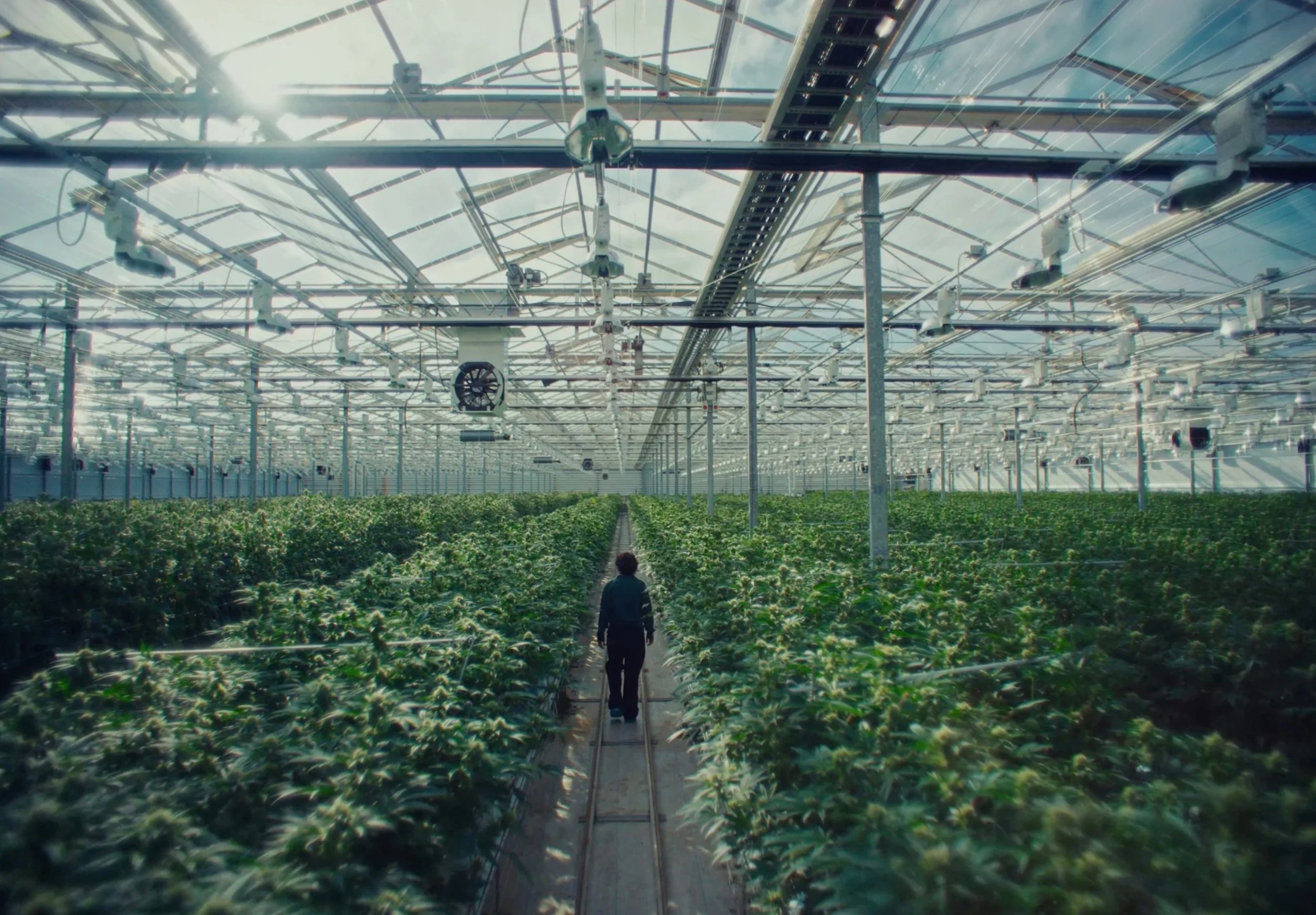 Mia Flowerhood - Directed by David Ehrenreich